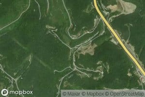 Laurel Fork