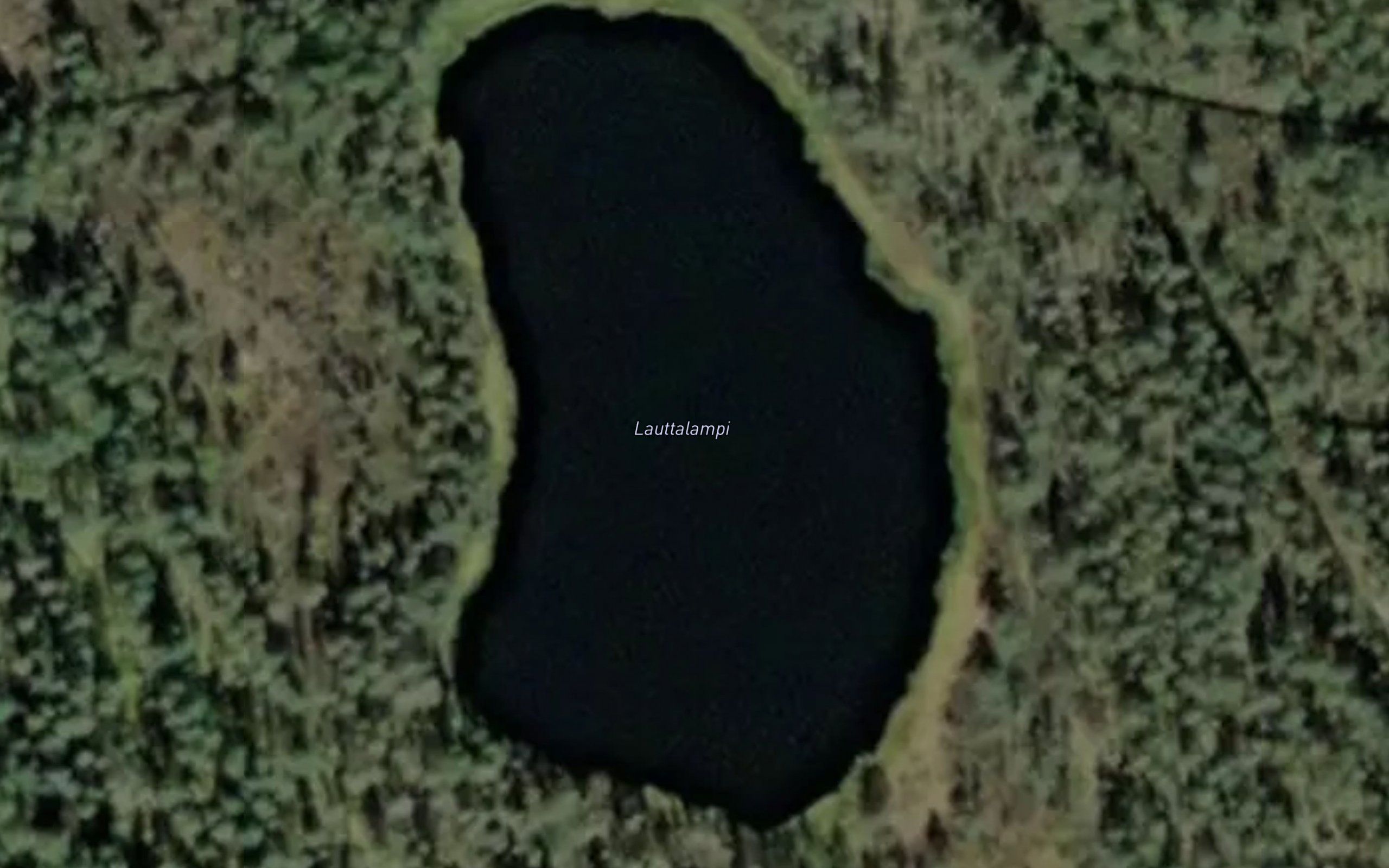 Lauttalampi