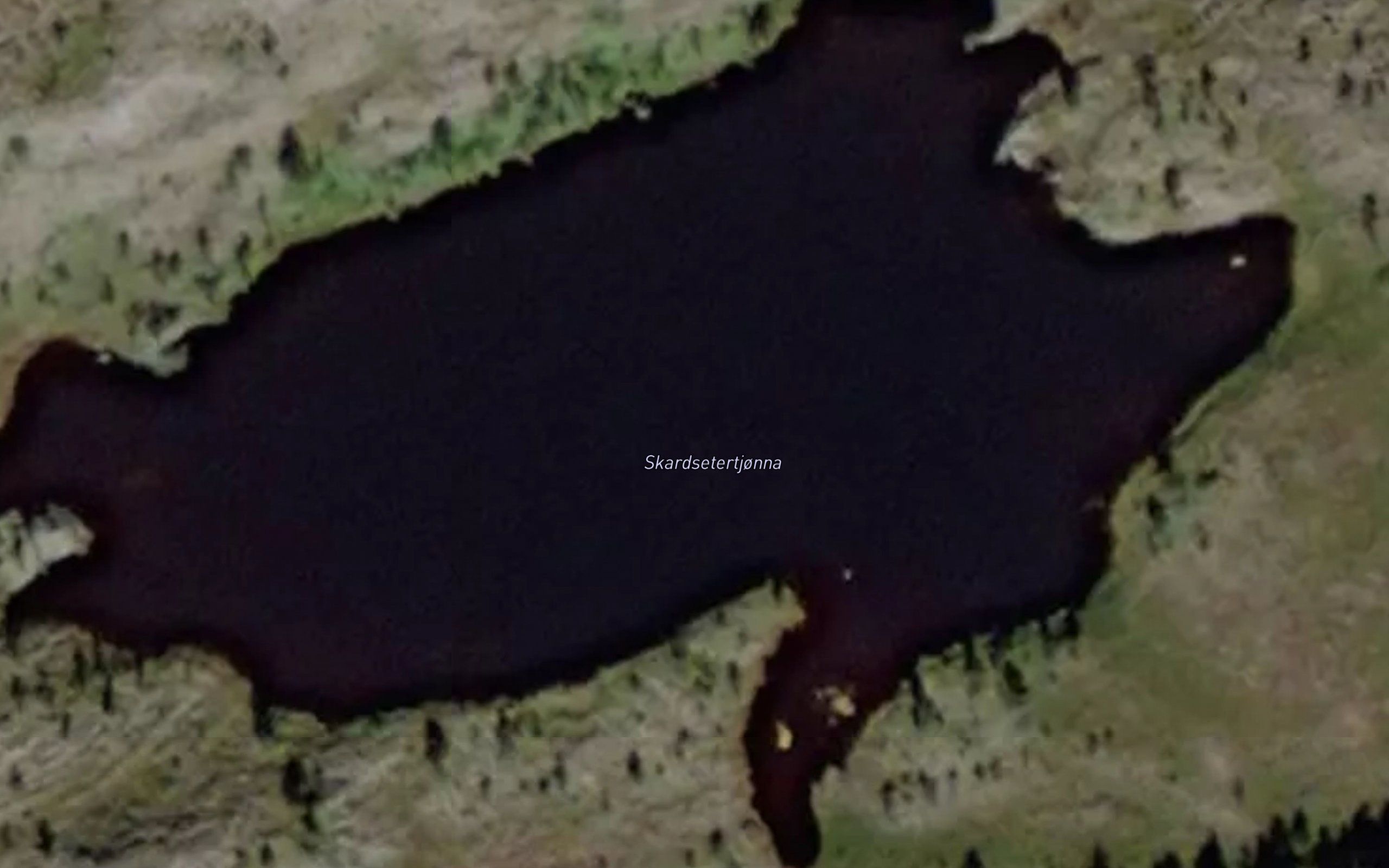 Skardsetertjorna