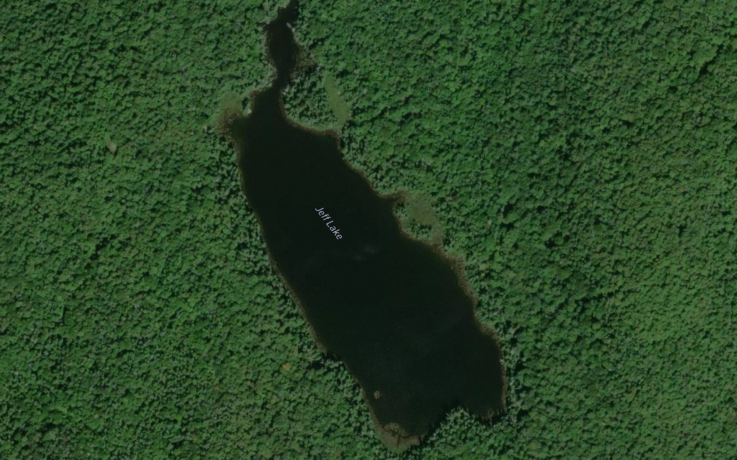 Jeff Lake