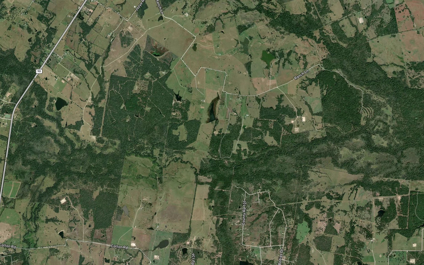 Satellite map of the Bullard Lake
