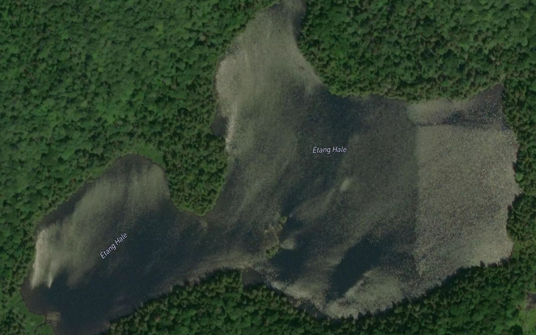 Satellite map of the Etang Hale