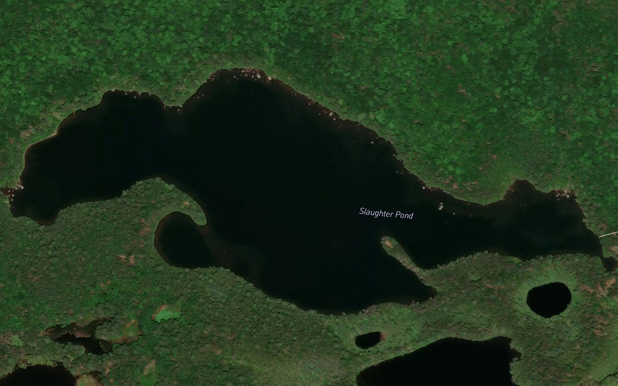 Slaughter Pond