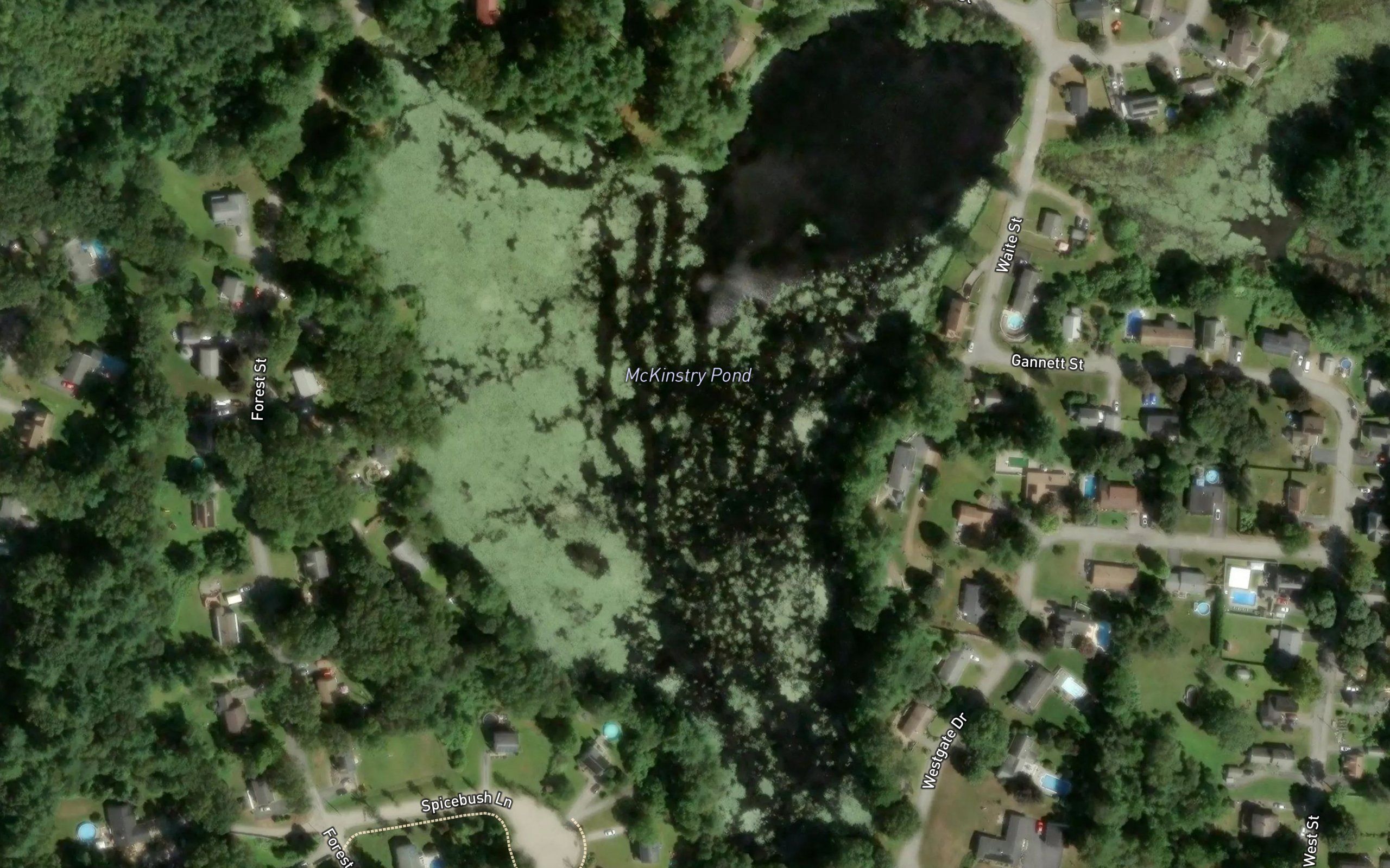 McKinstry Pond
