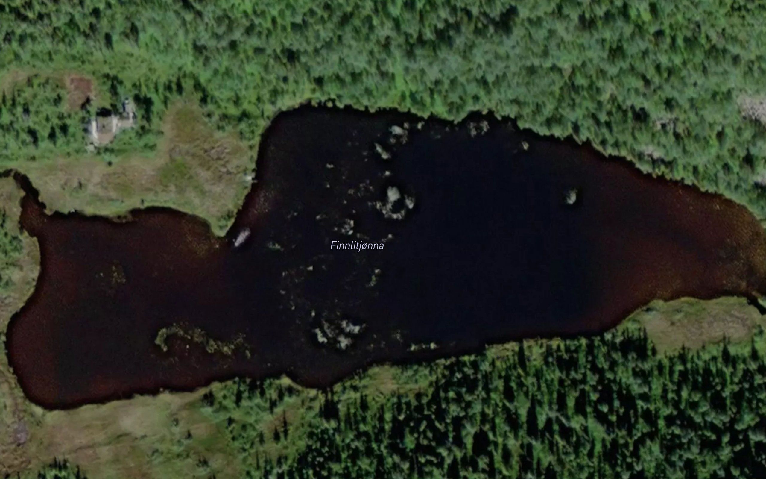 Finnlitjorna