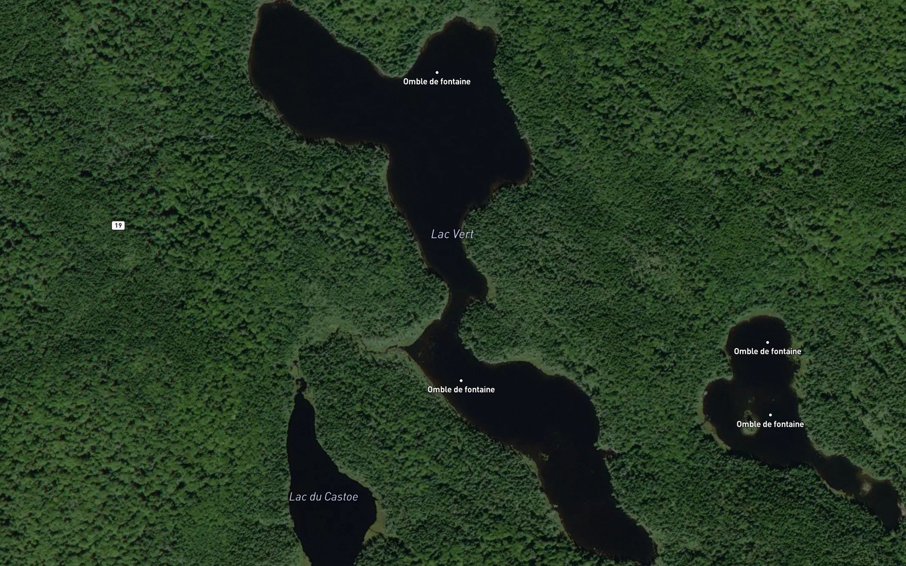 Satellite map of the Lac Vert