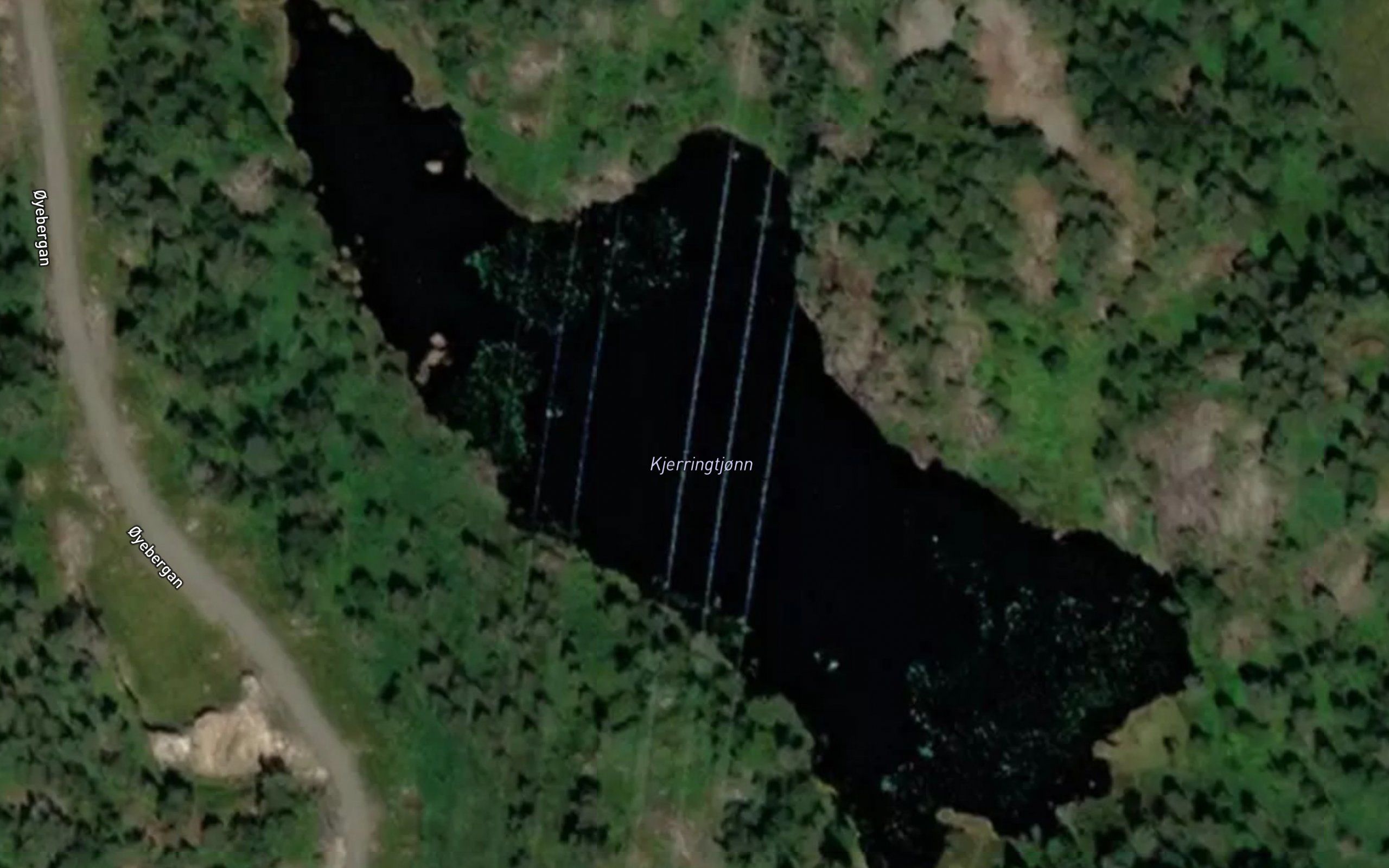 Kjerringtjonn