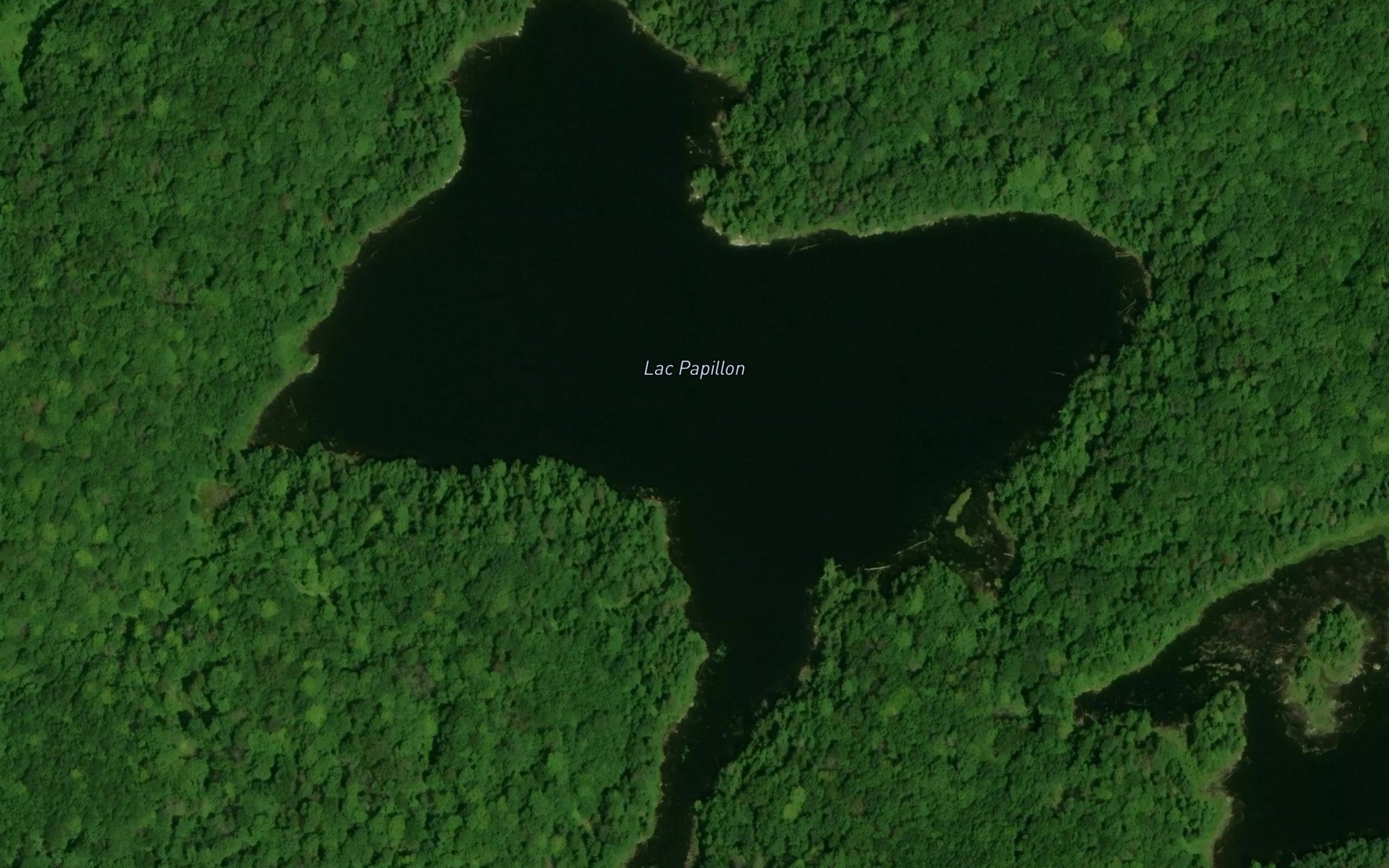 Satellite map of the Lac Papillon