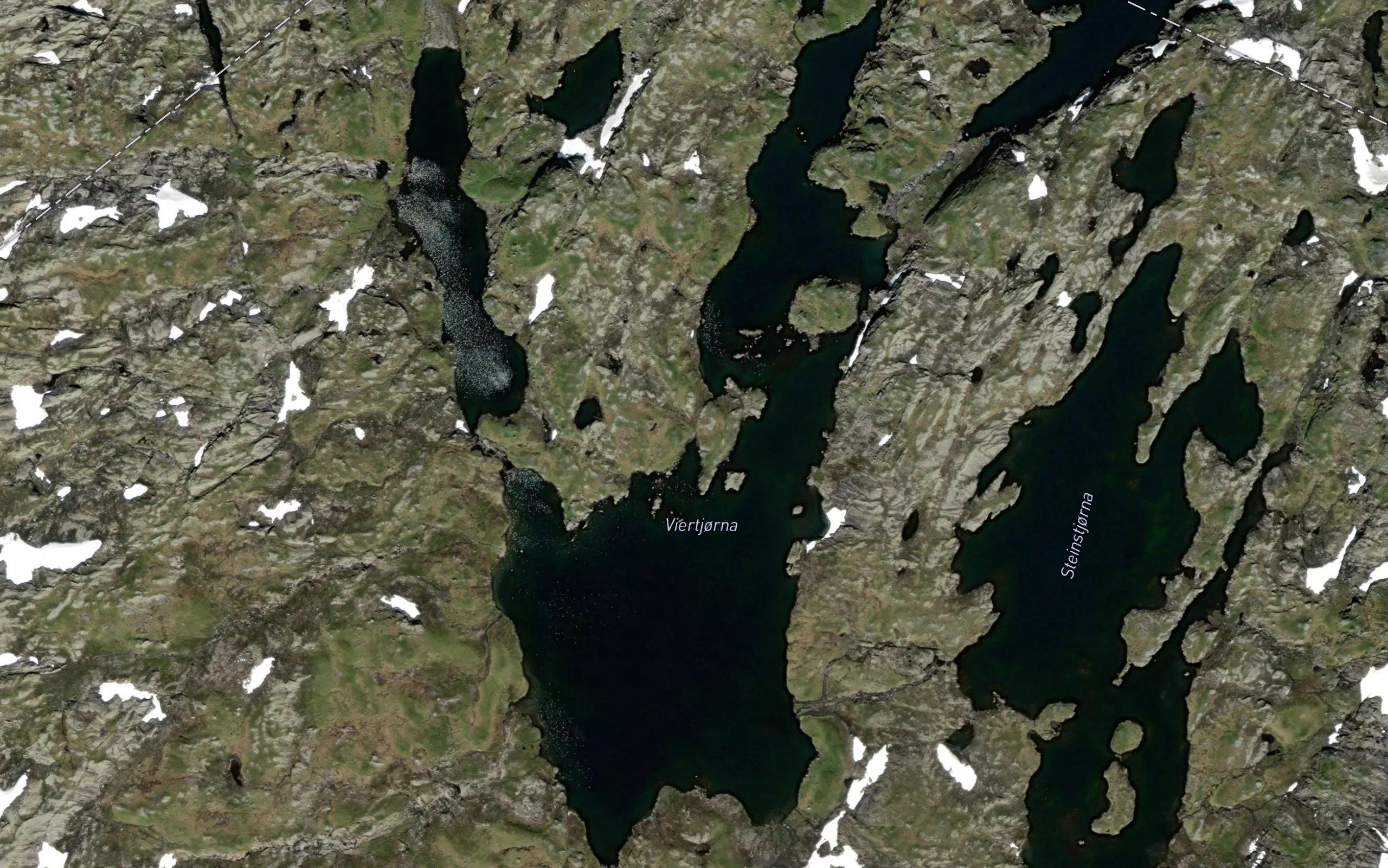 Viertjorna