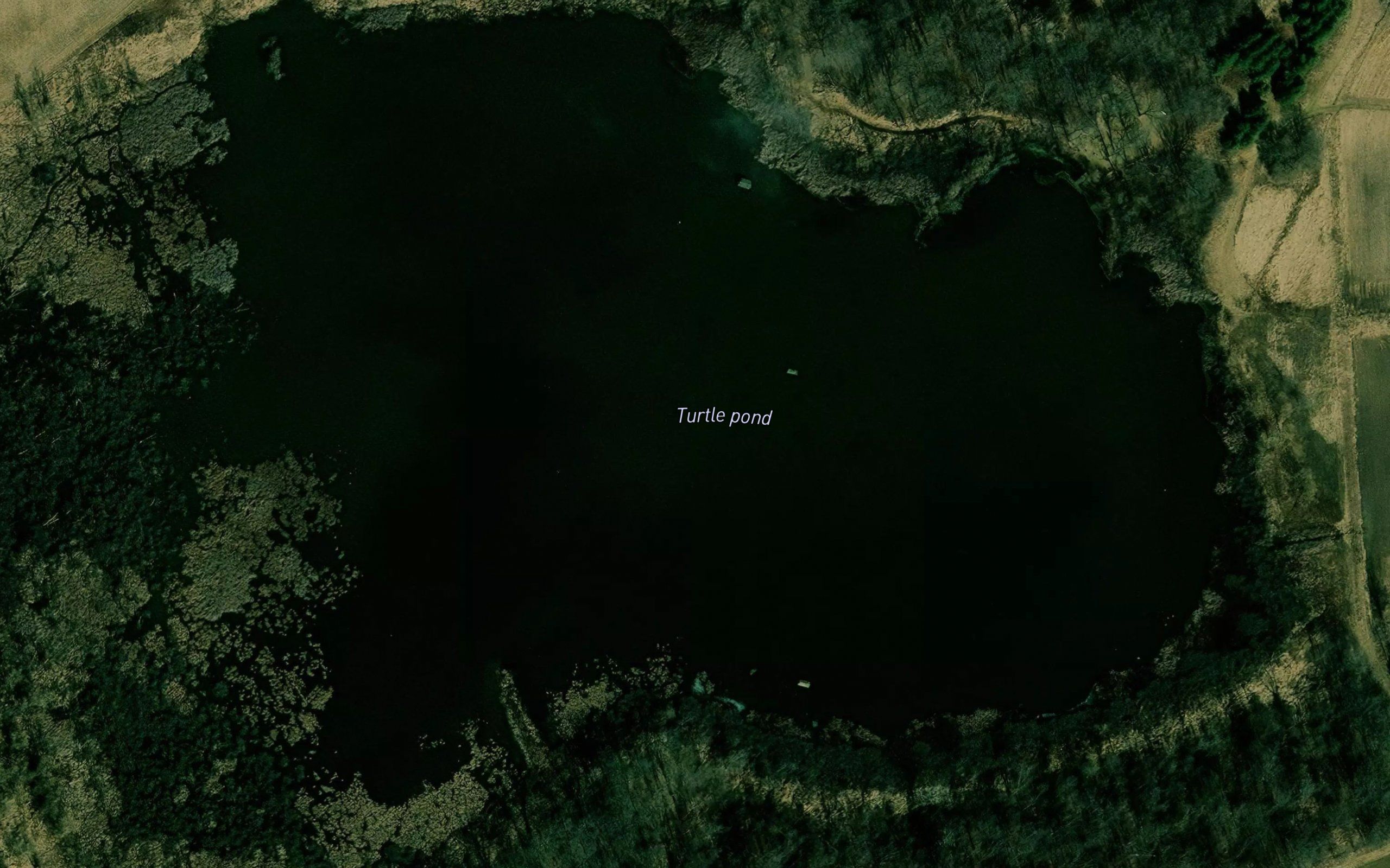 Turtle Pond