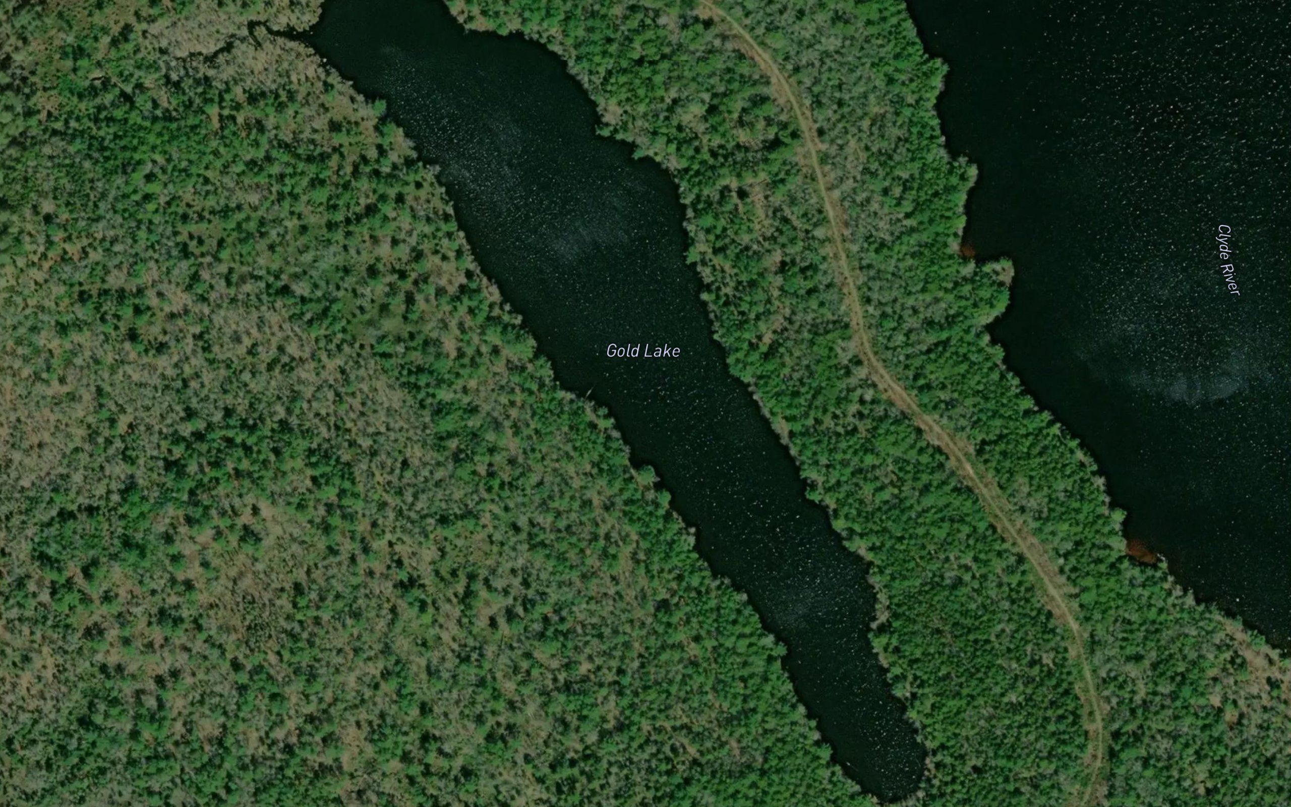 Gold Lake
