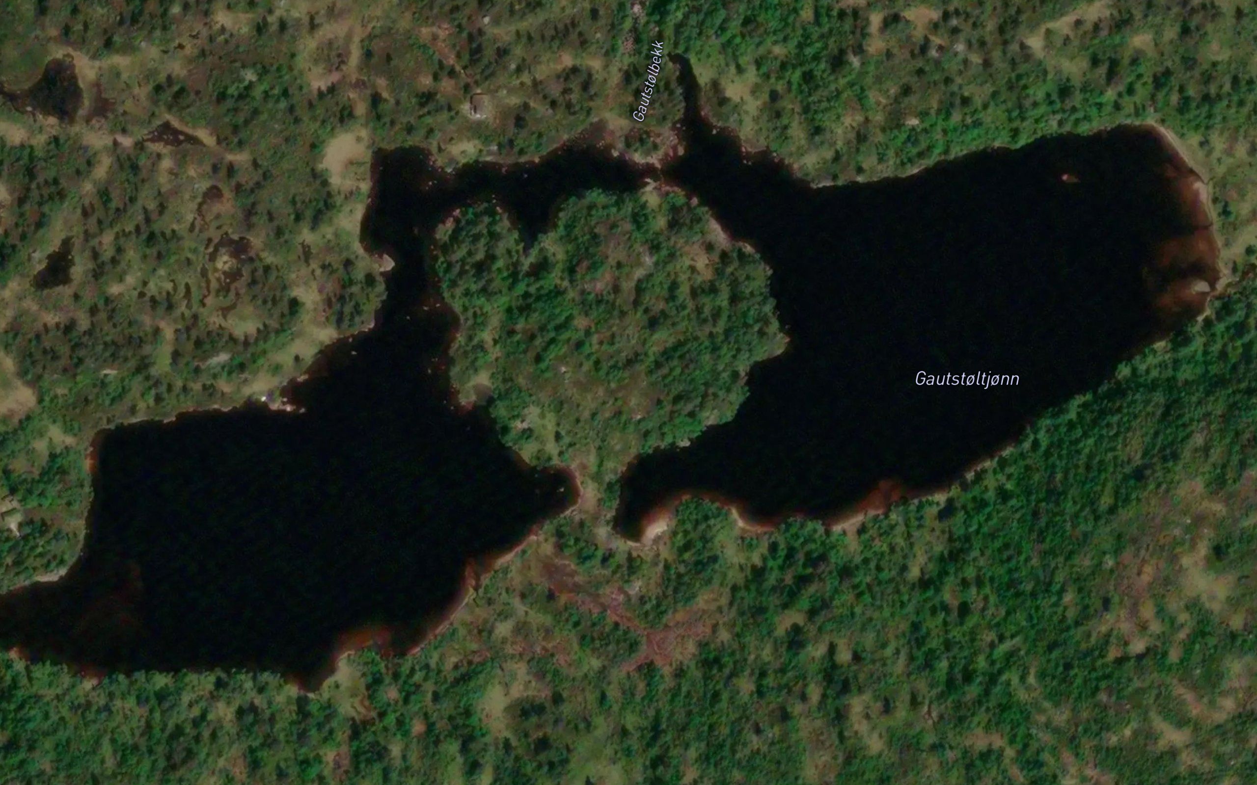 Gautstoltjorn