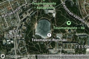 Tesomajaervi