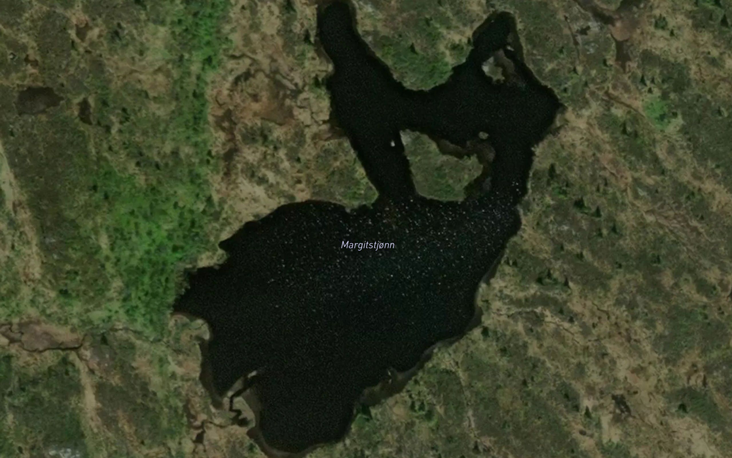 Margitstjorn