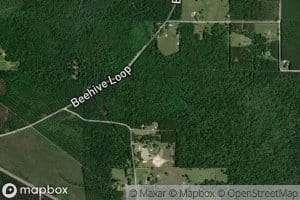 Buck Branch
