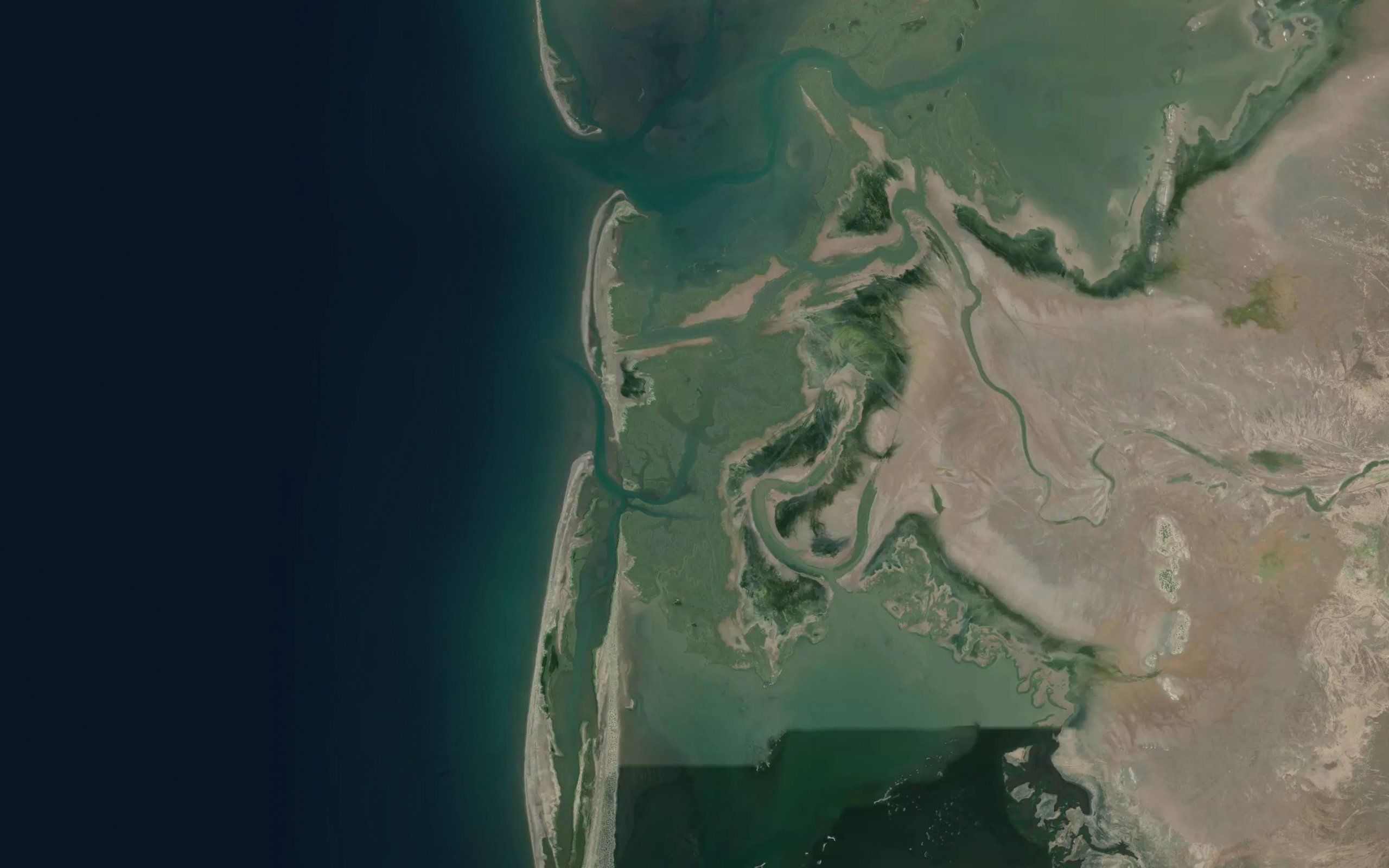Estero el Tecolote