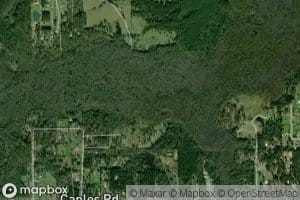 South Cheniere Creek