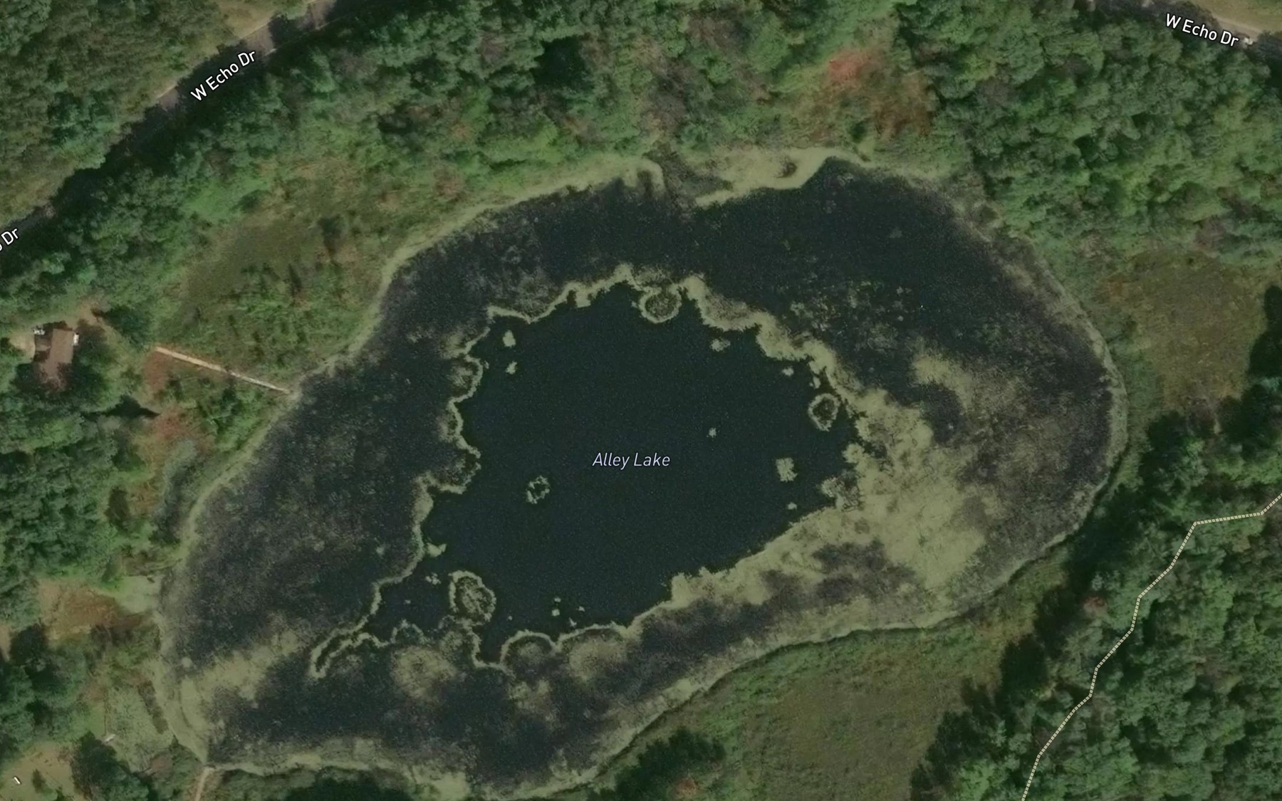 Satellite map of the Alley Lake