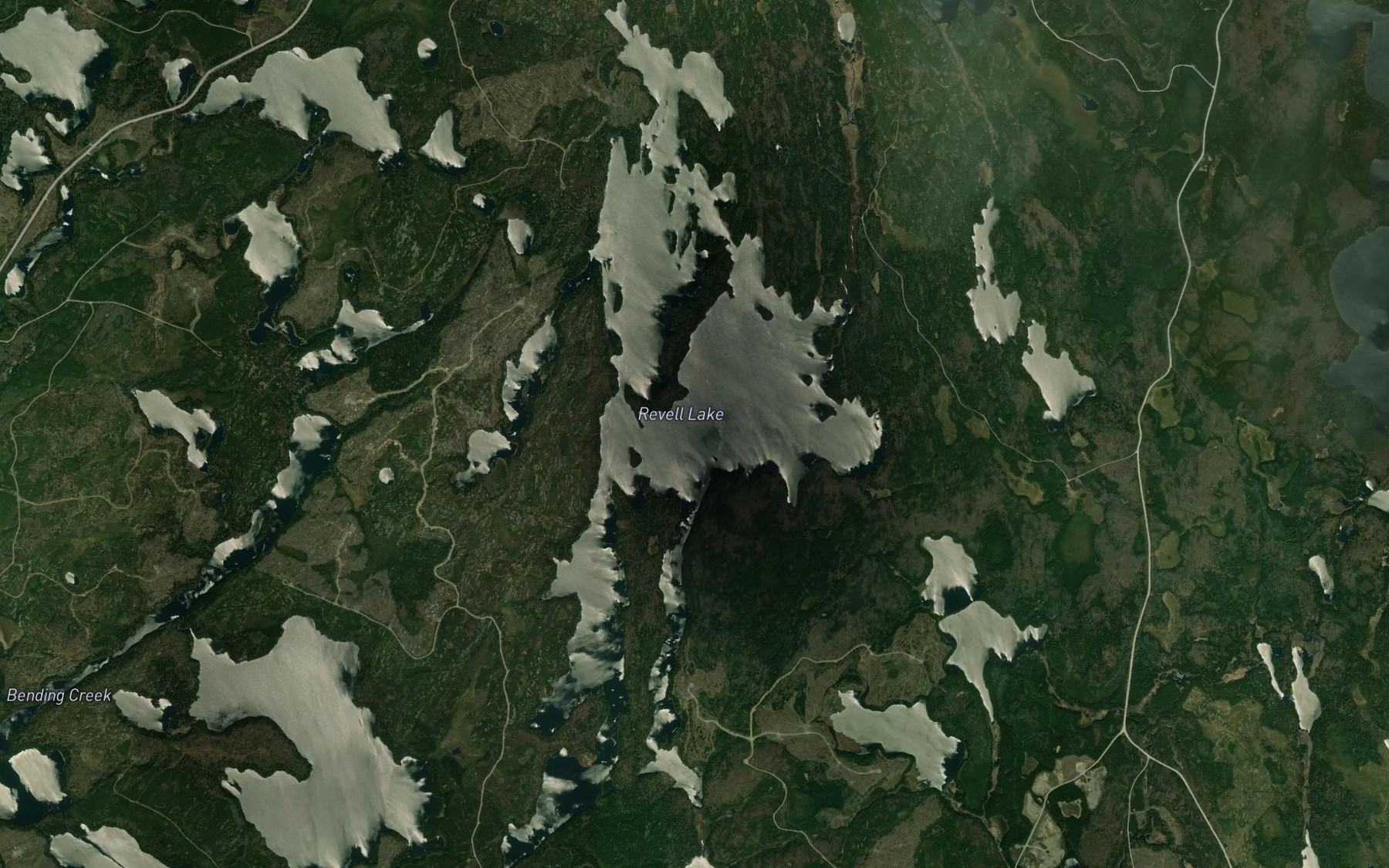 Satellite map of the Revell Lake