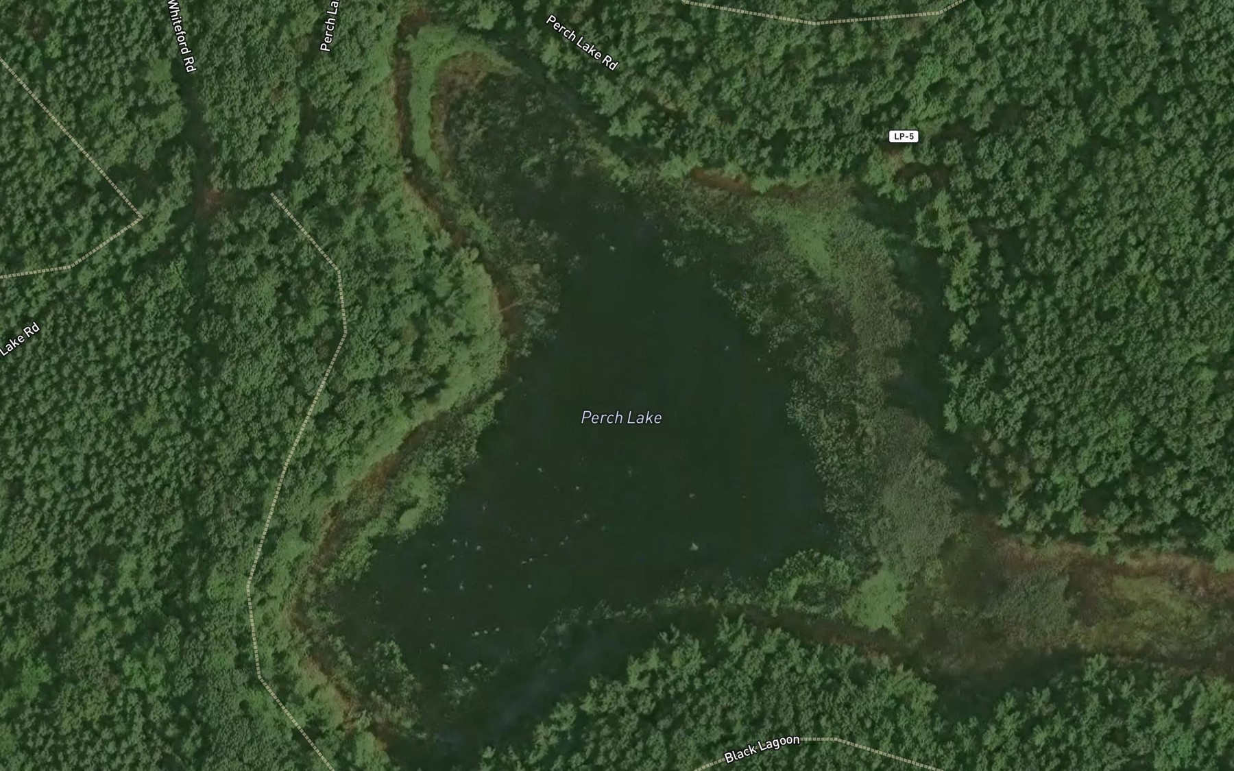 Satellite map of the Perch Lake