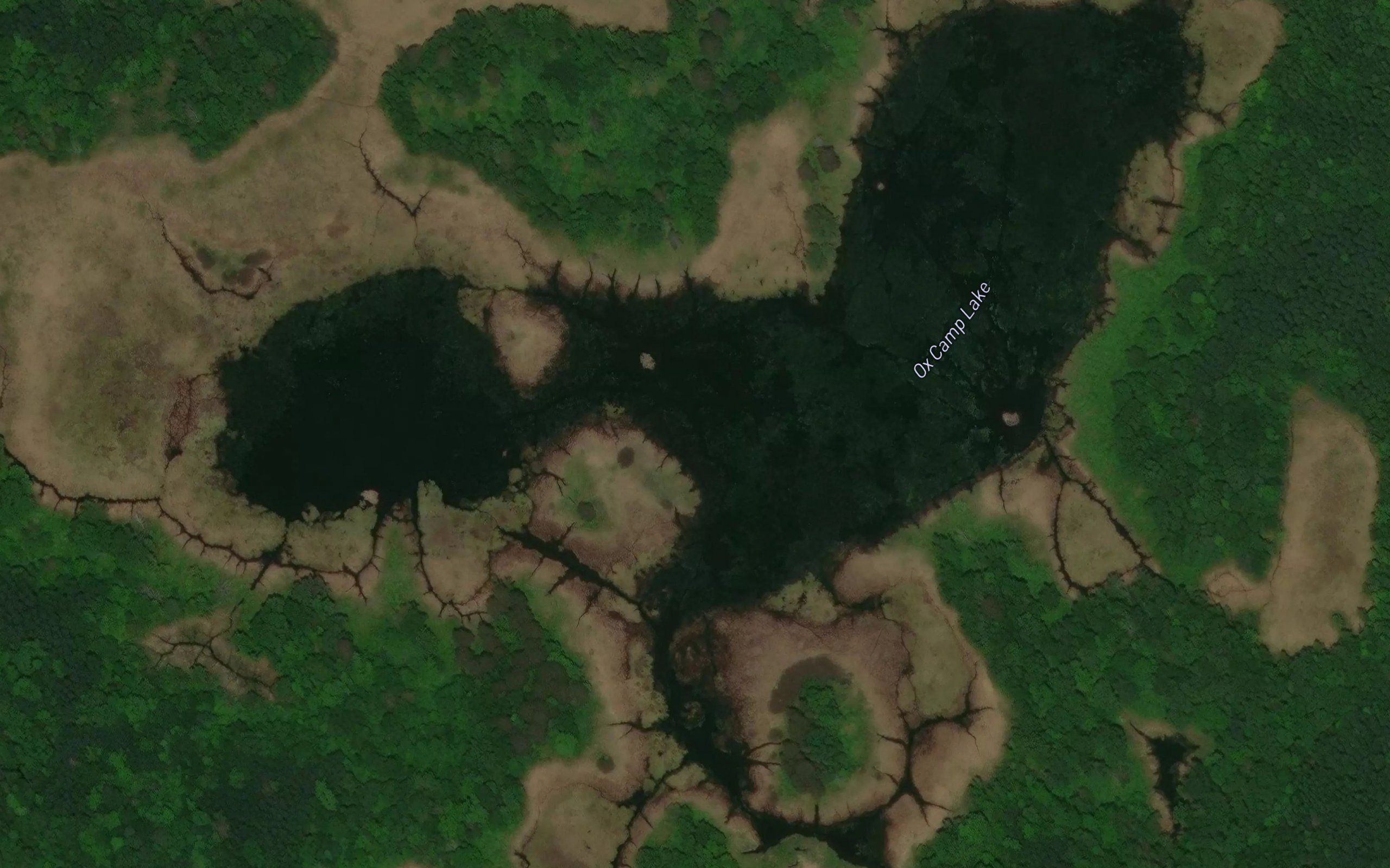 Ox Camp Lake