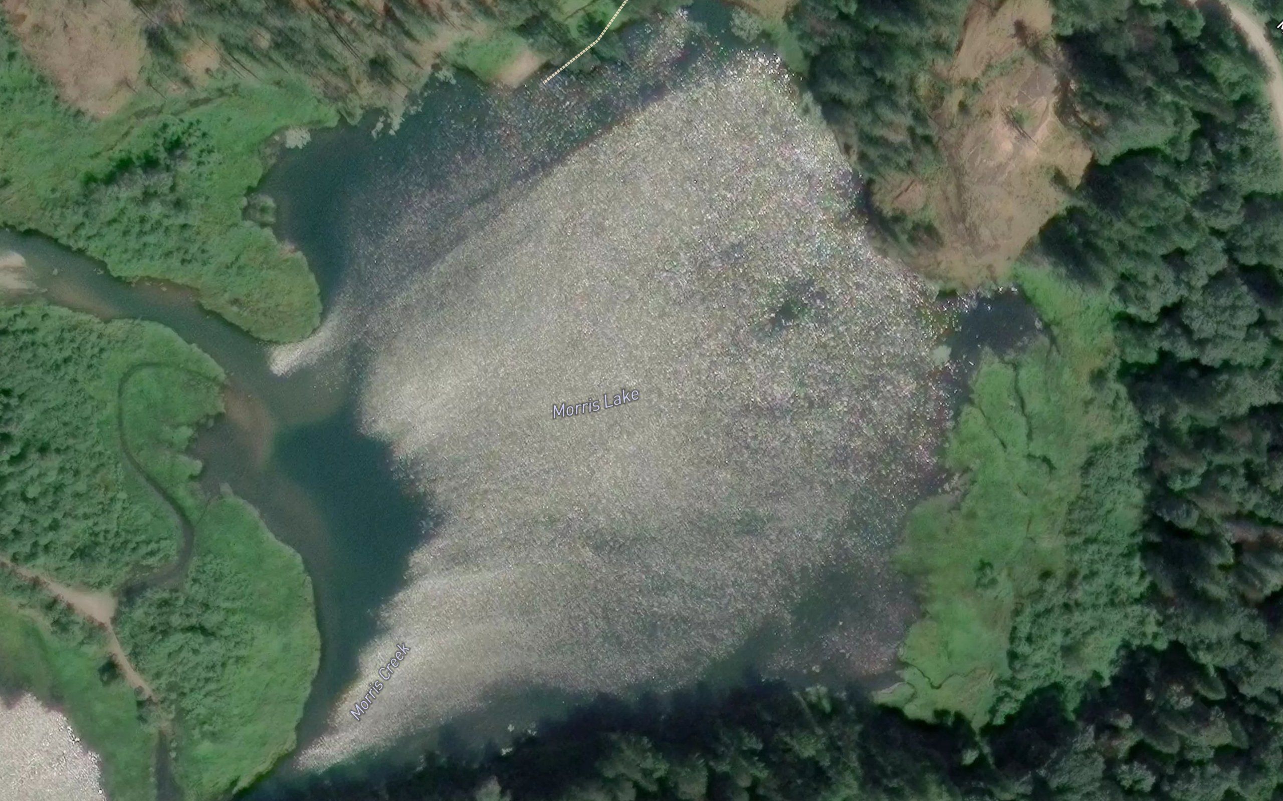 Morris Lake