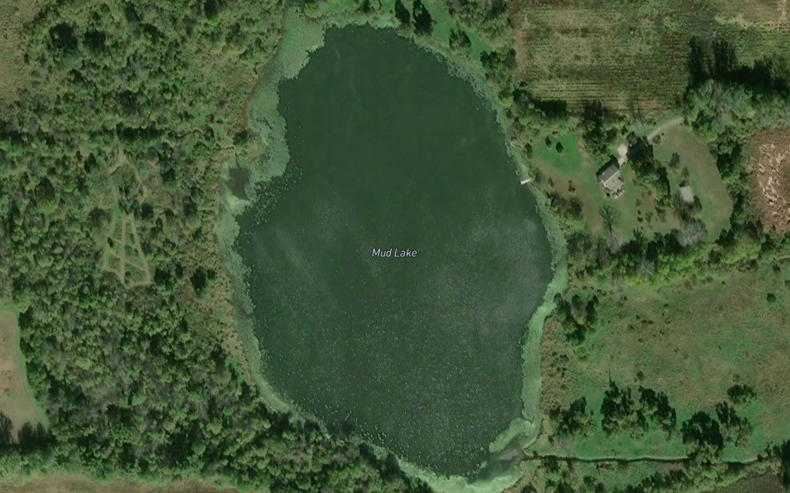 Mud Lake
