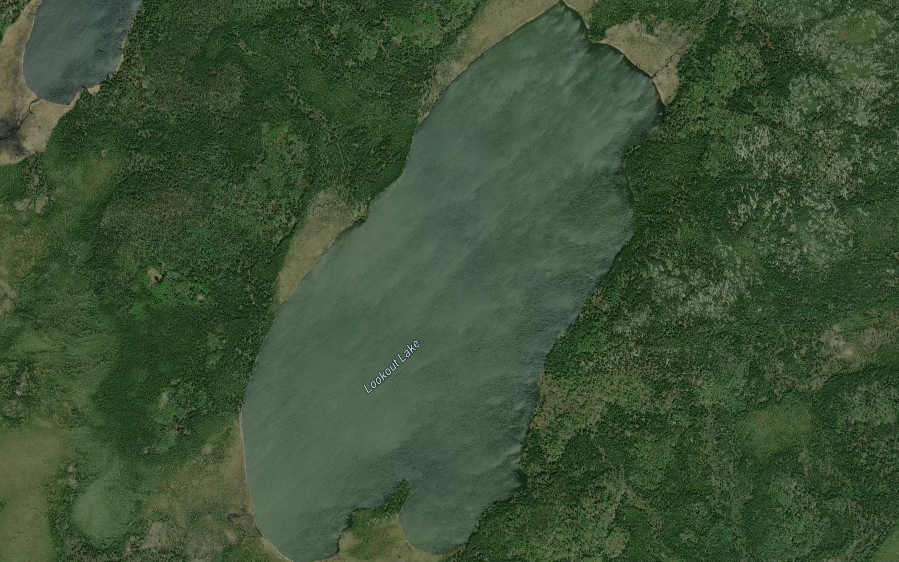 Satellite map of the Lookout Lake
