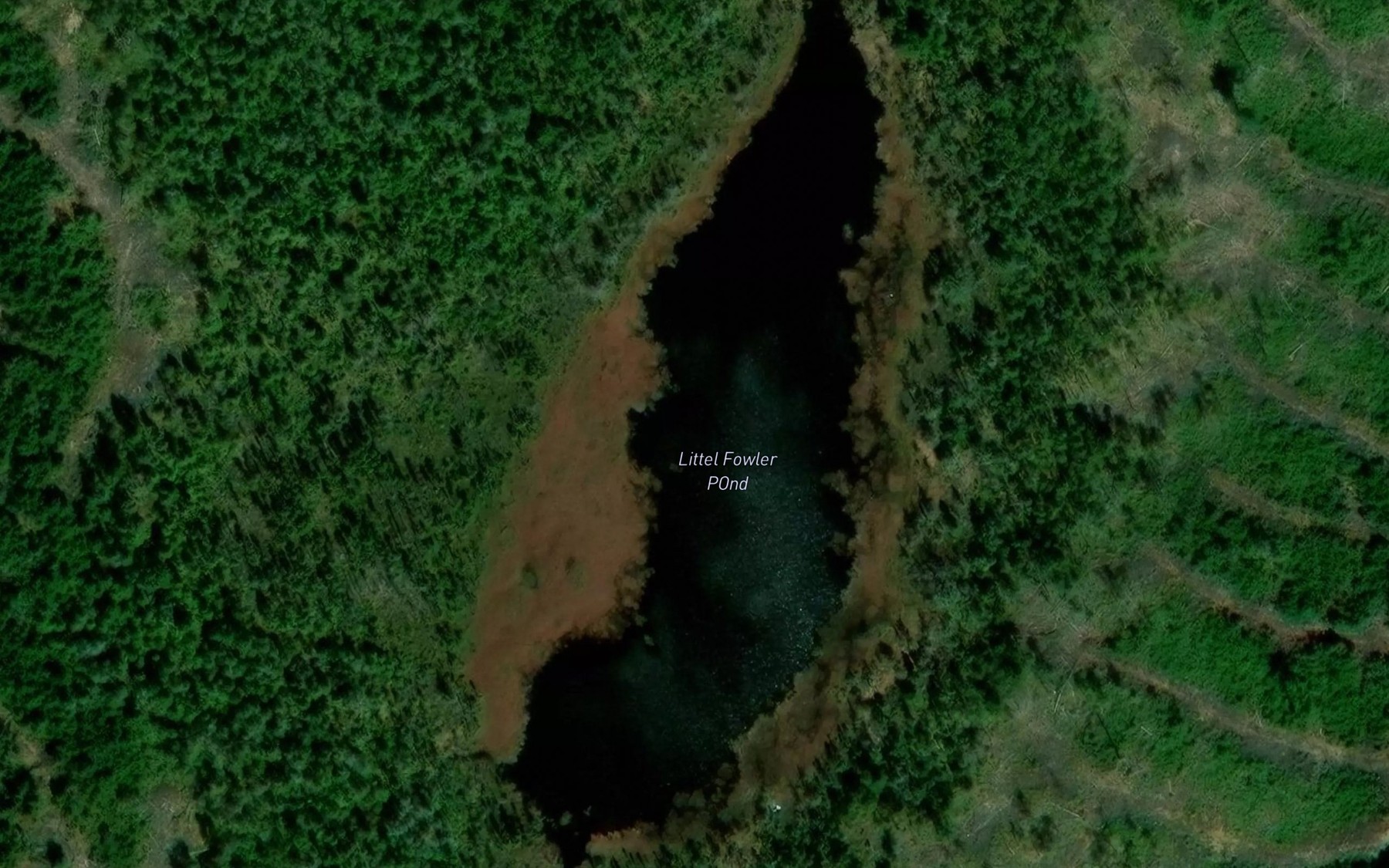 Satellite map of the Little Fowler Pond