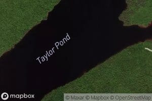 Taylor Pond