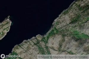 Vattavika