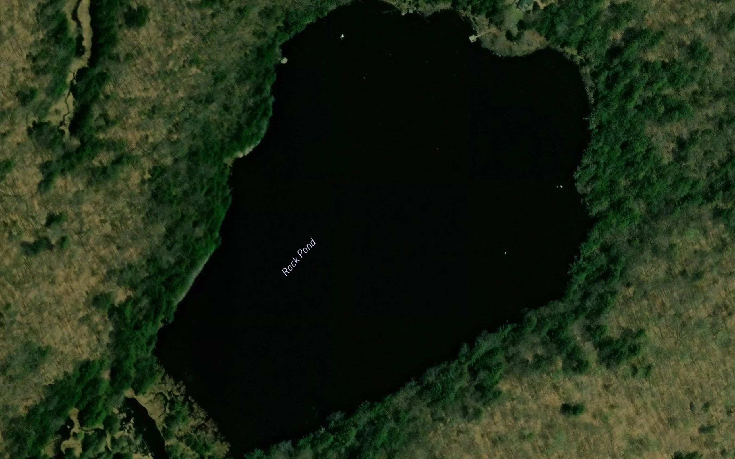 Rock Pond