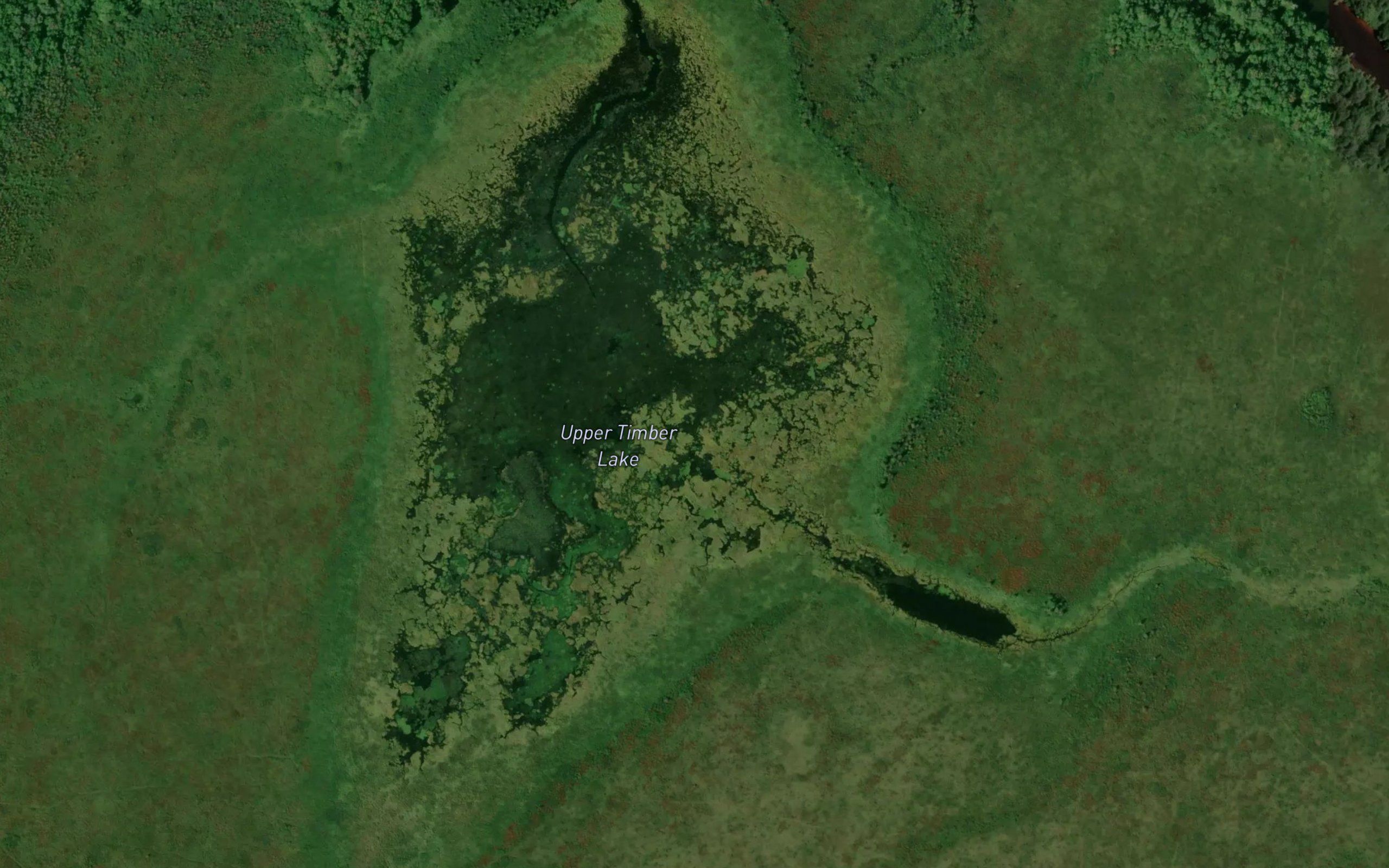 Upper Timber Lake