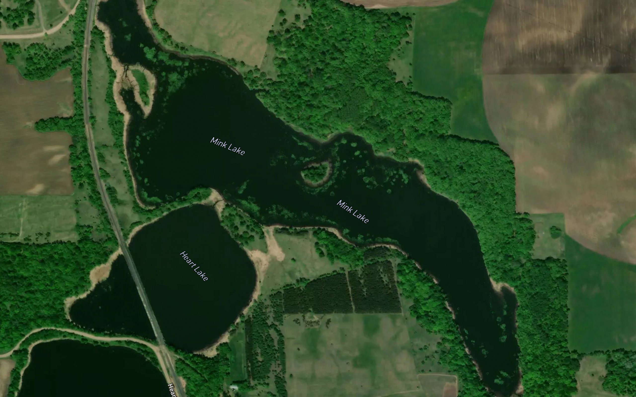 Mink Lake