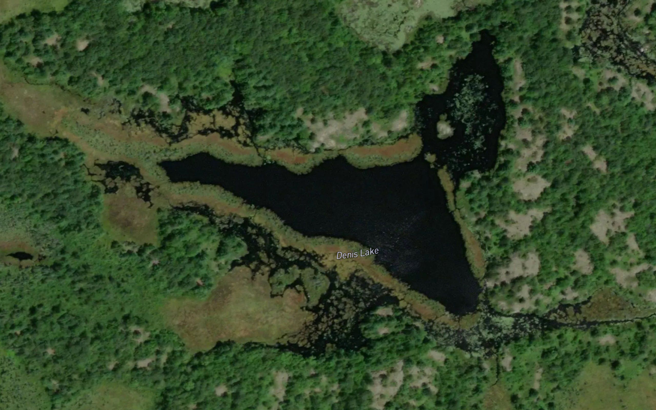 Denis Lake