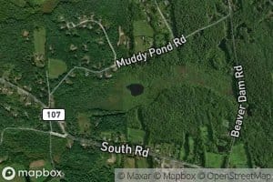 Muddy Pond