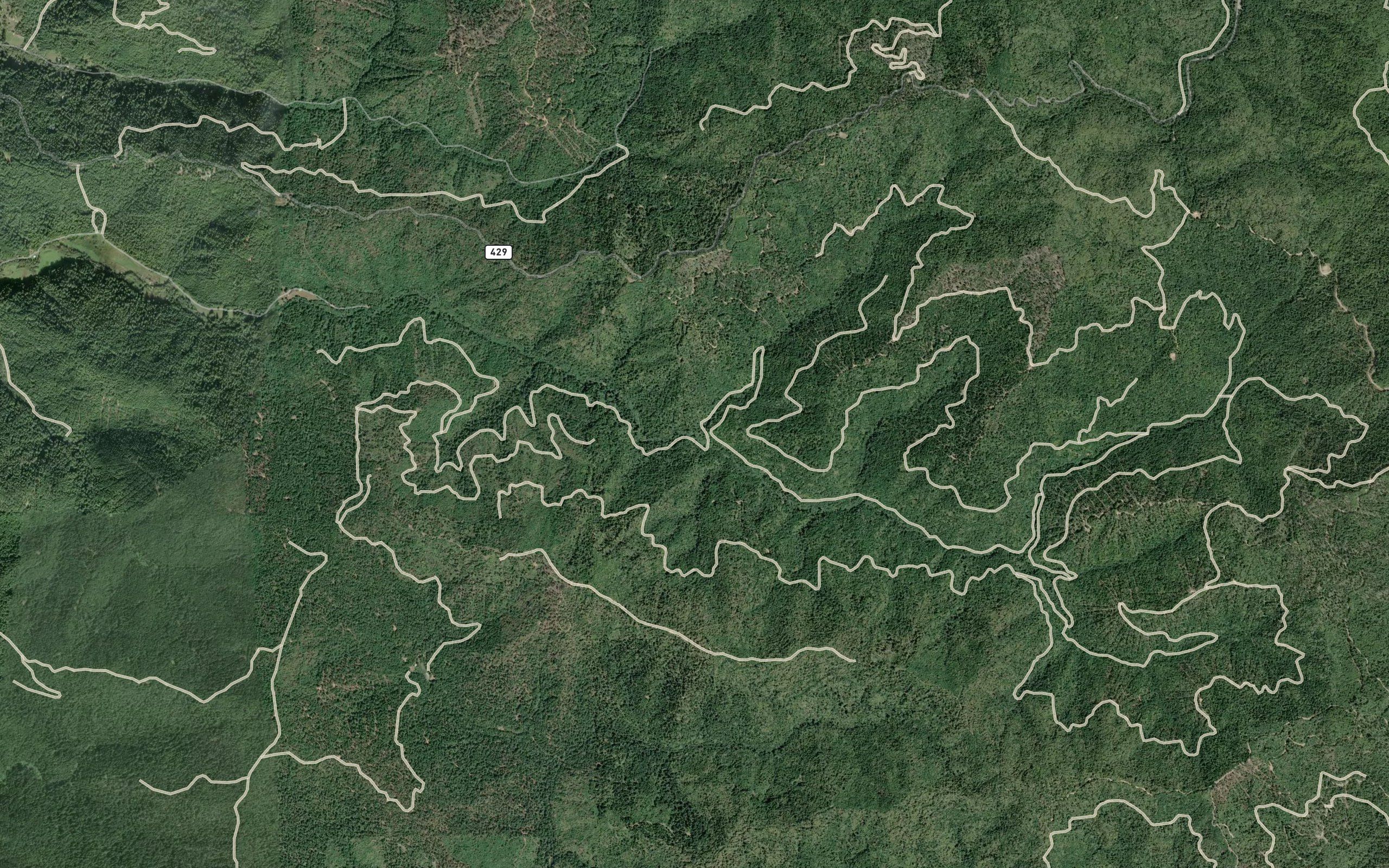 North Fork Wages Creek