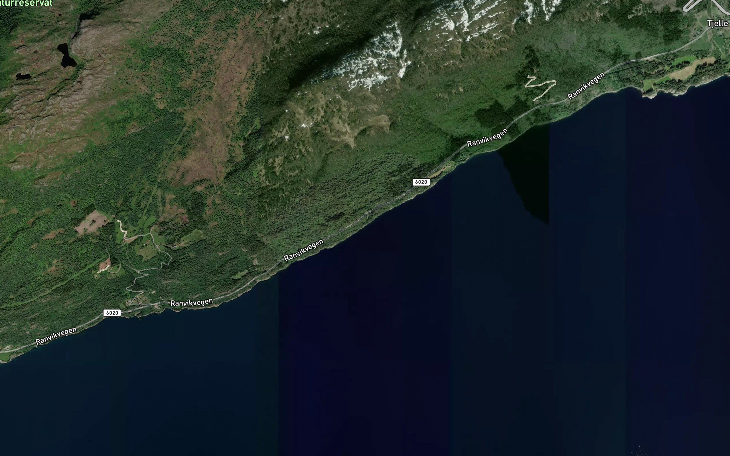 Tjuvbukta