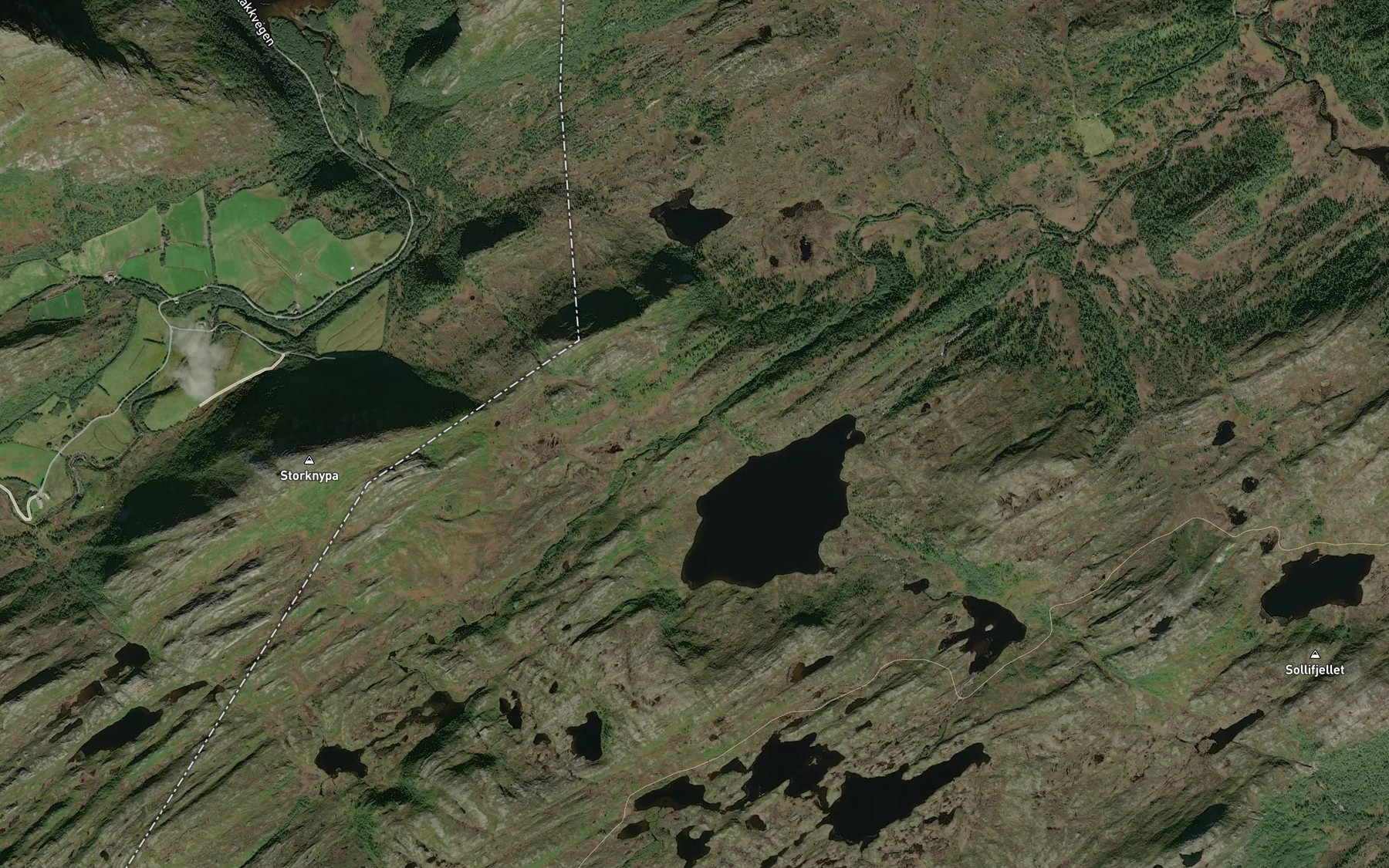 Satellite map of the Fellorselva