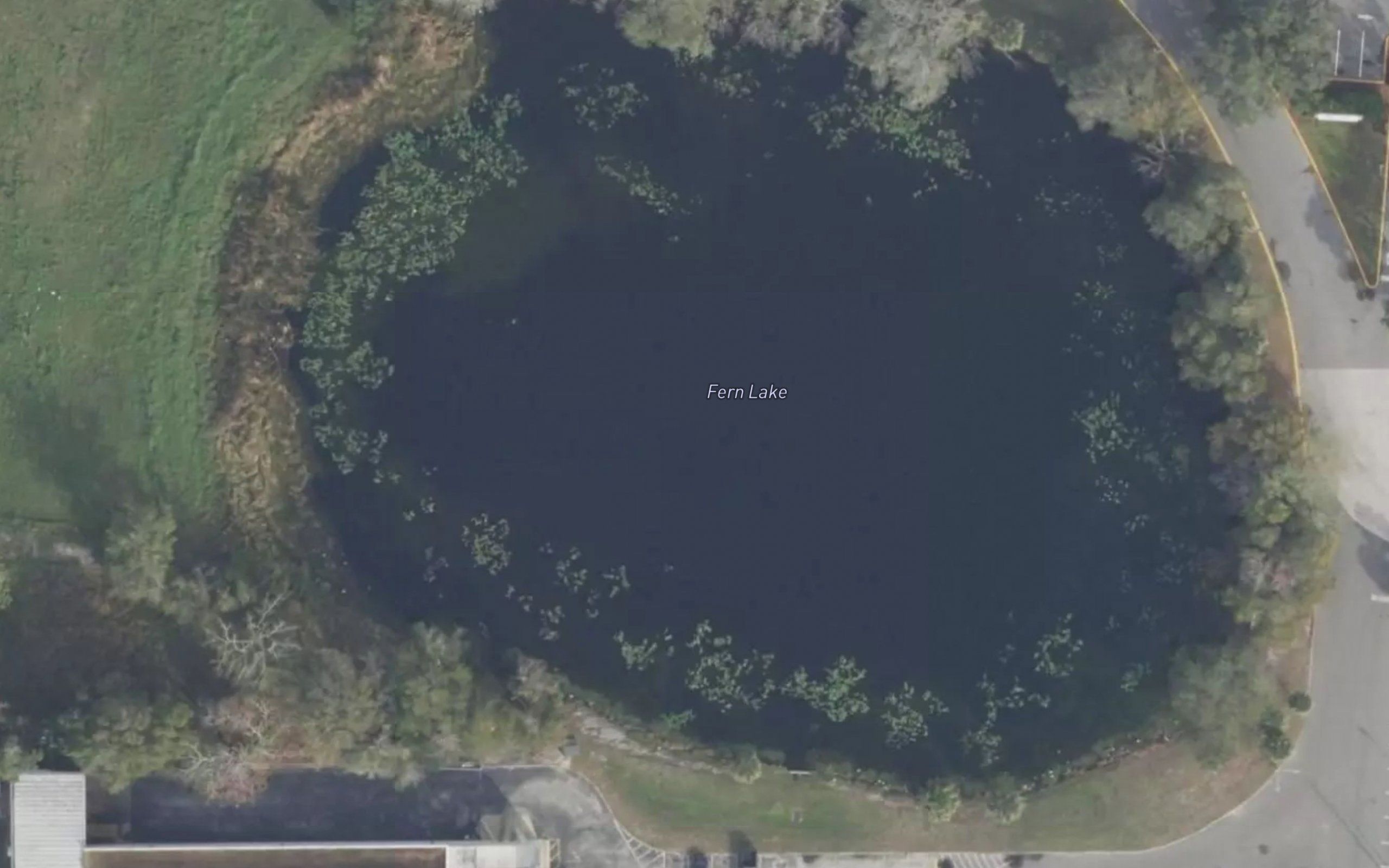 Fern Lake