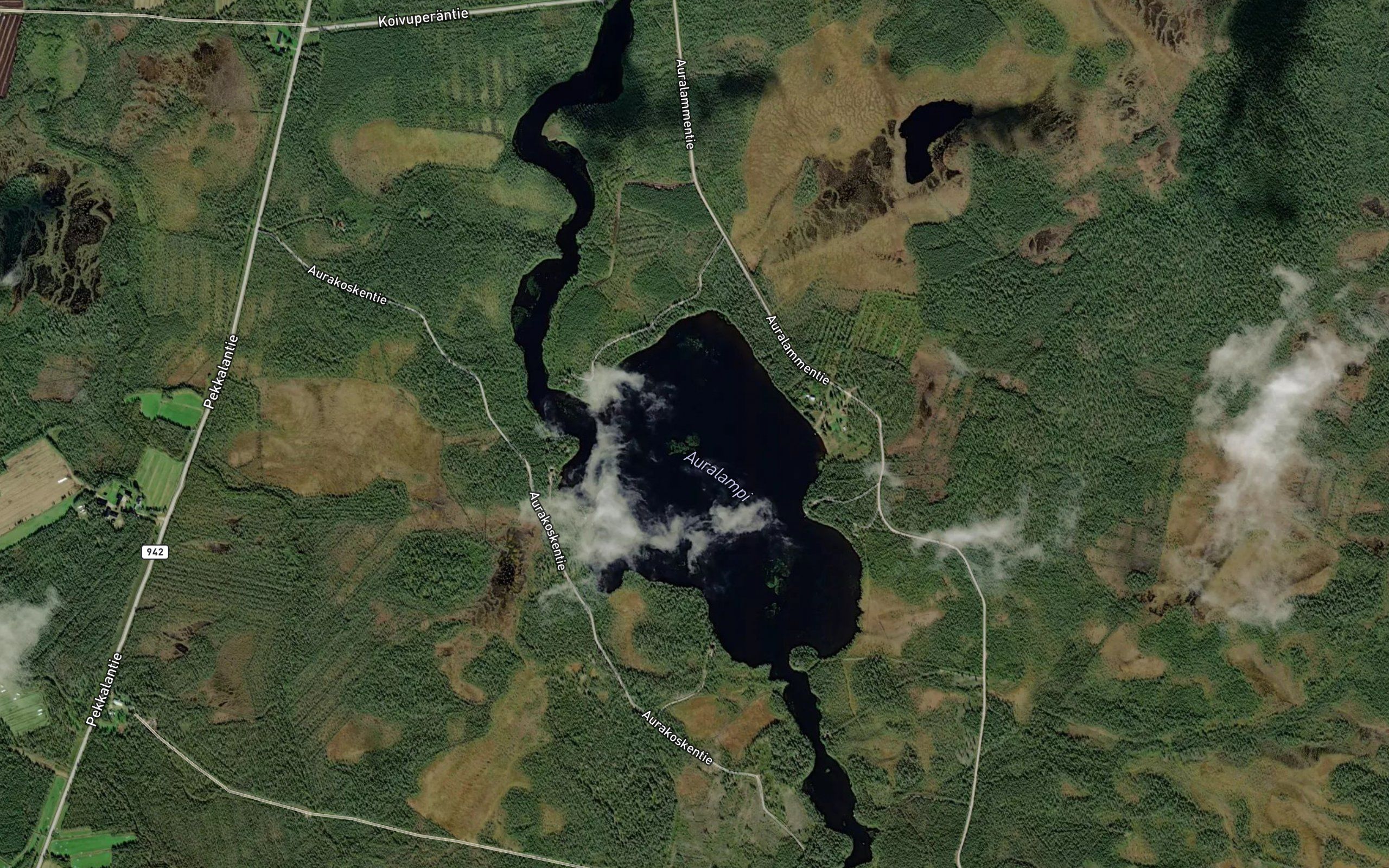 Auralampi