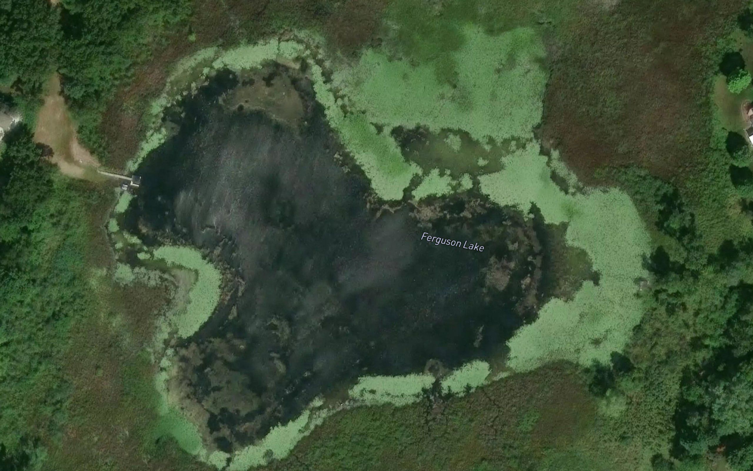 Ferguson Lake