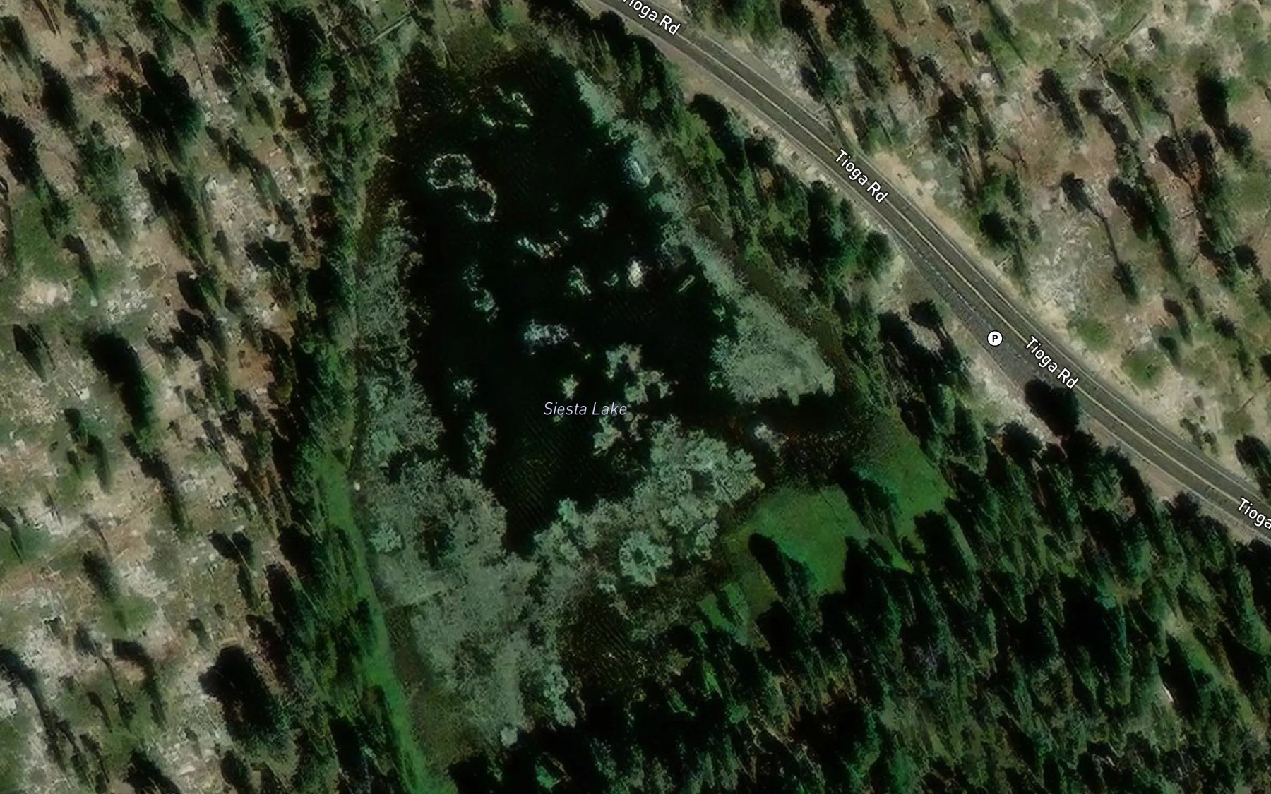 Satellite map of the Siesta Lake