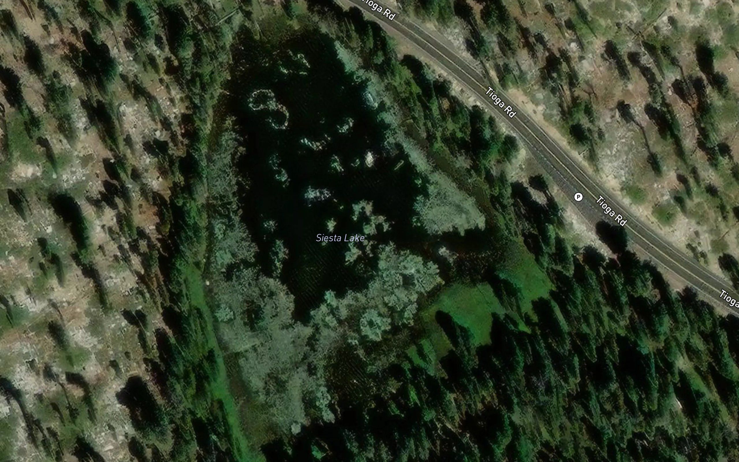 Siesta Lake