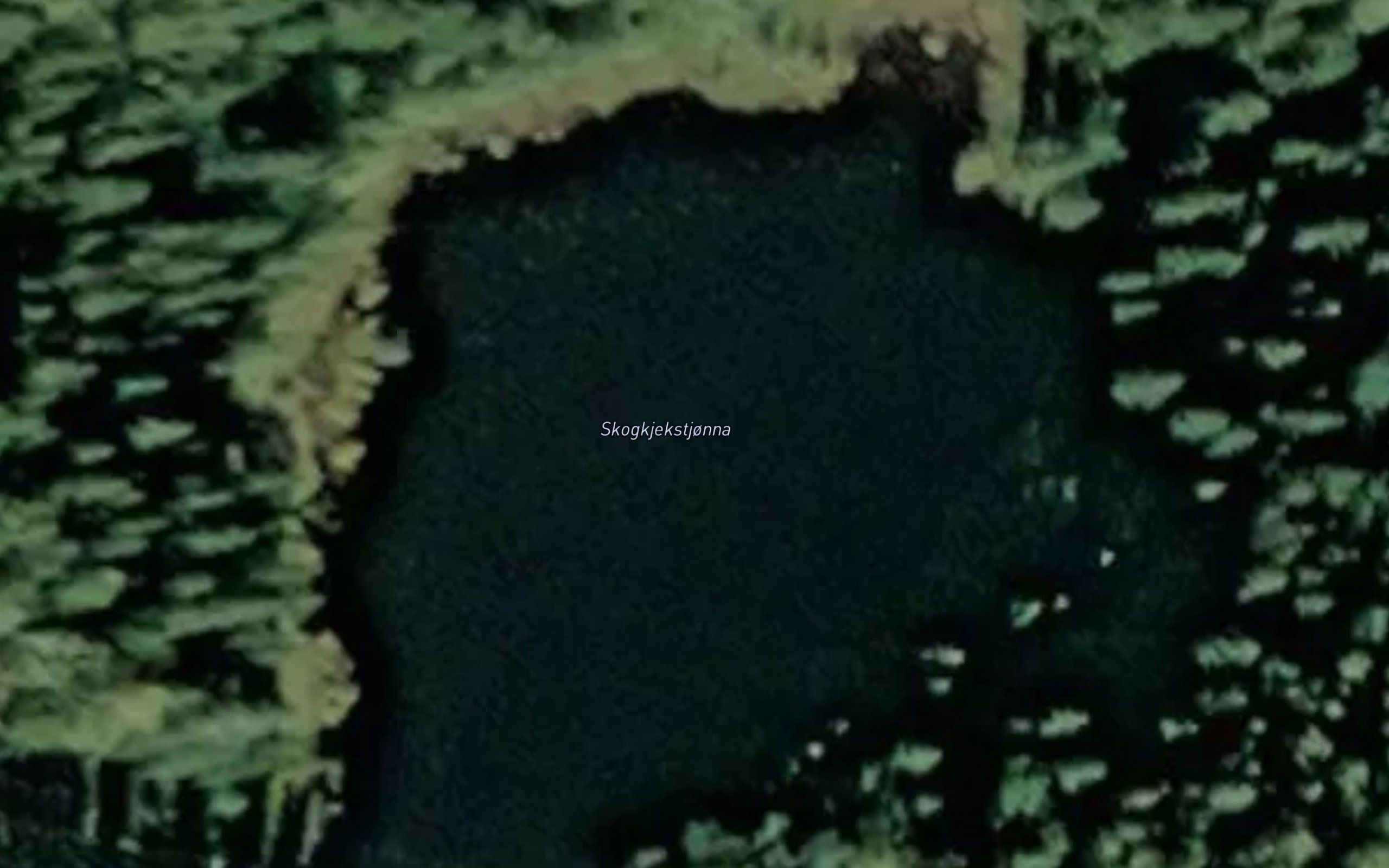 Skogkjekstjonna