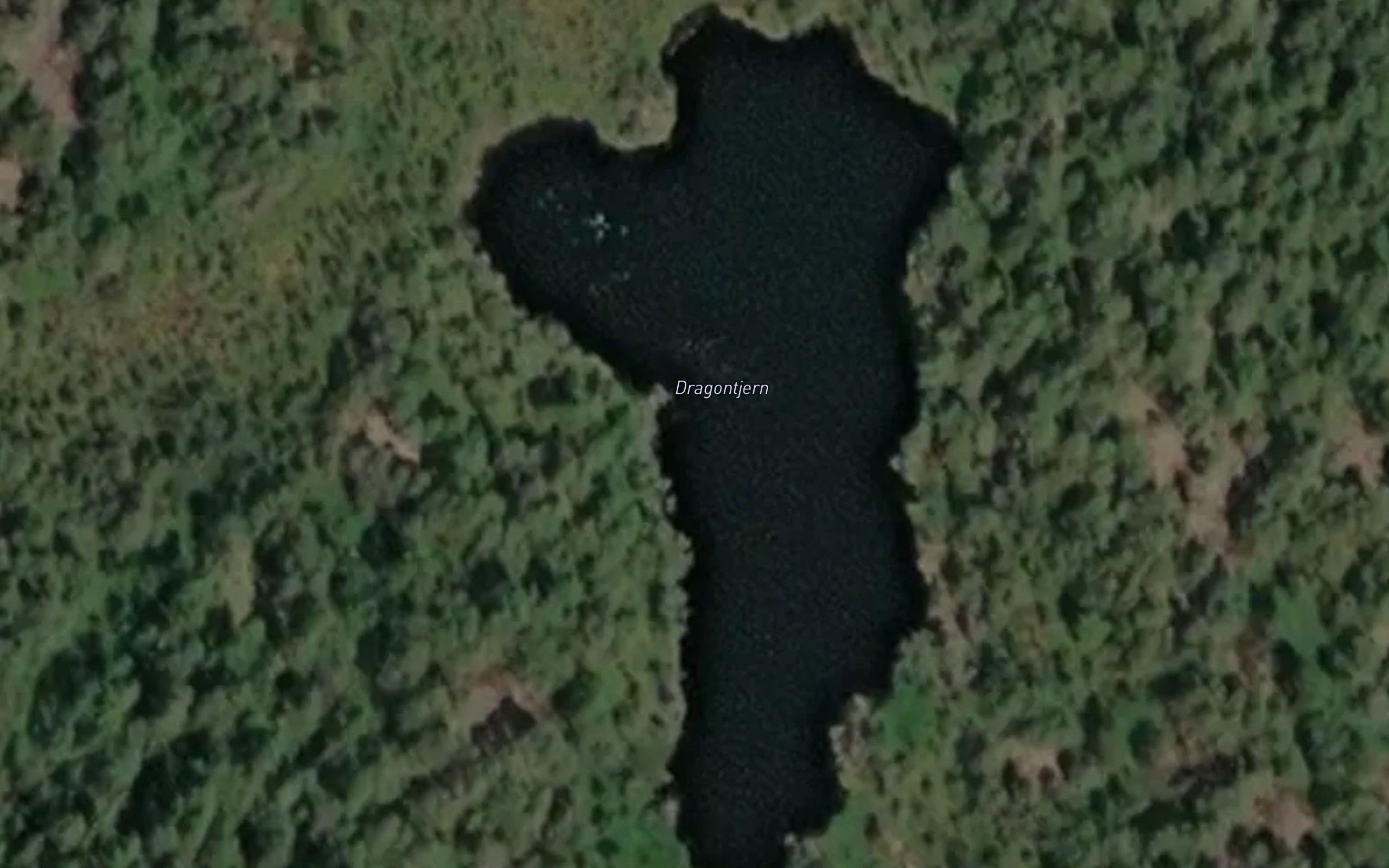 Dragontjern