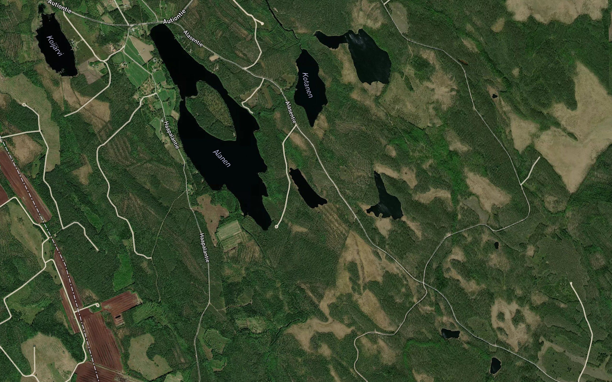 Haukilampi