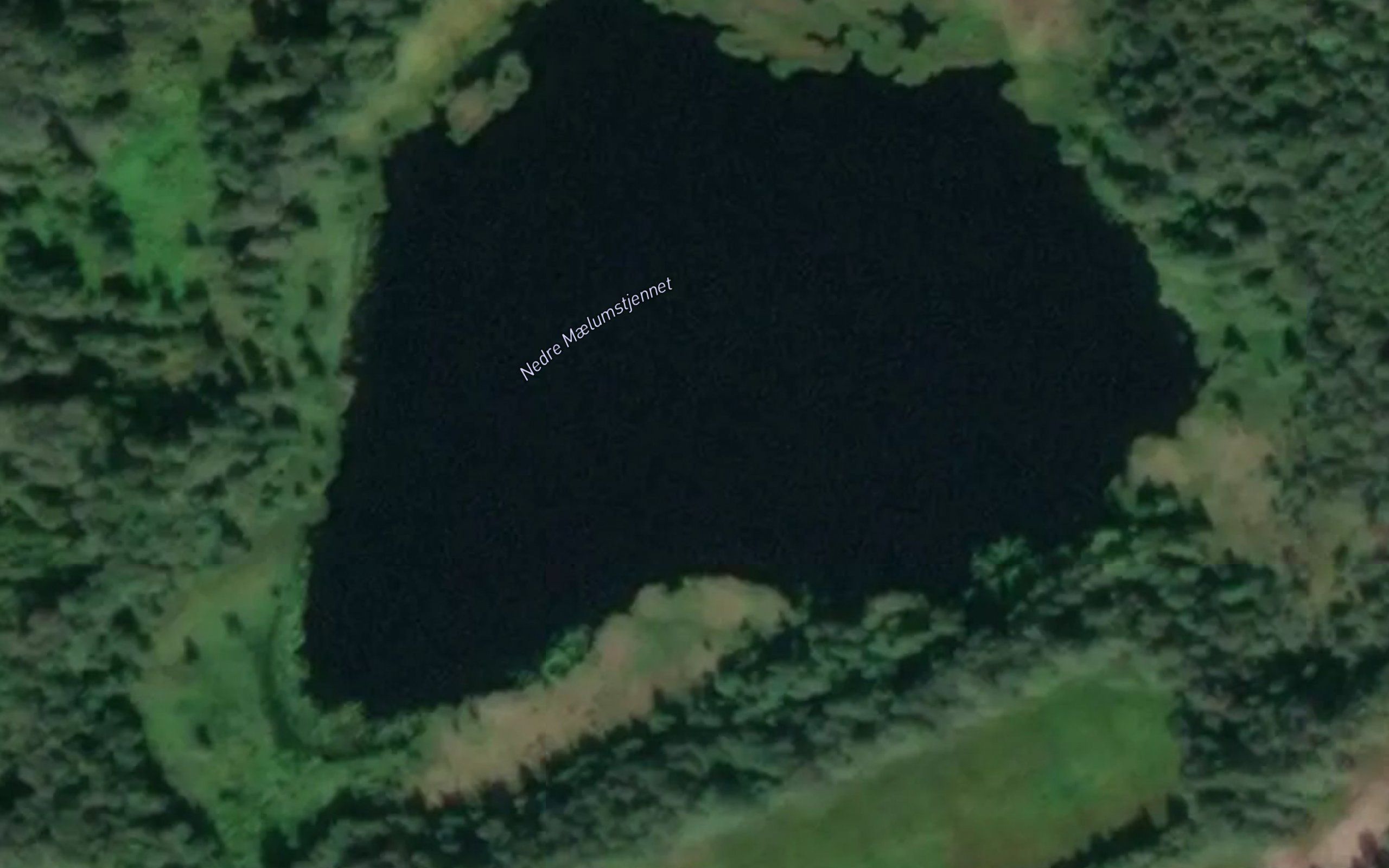 Maelumstjernet