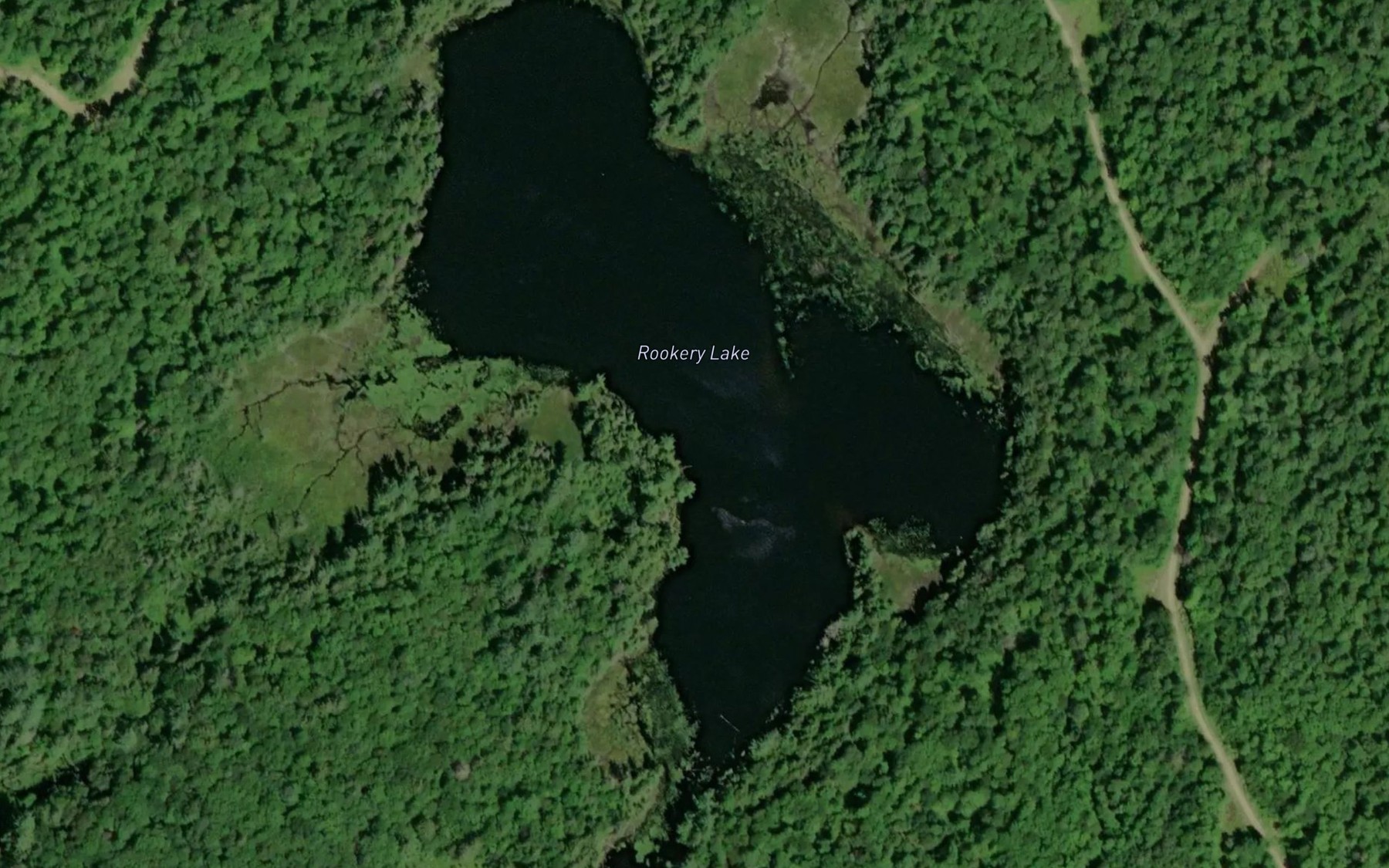 Satellite map of the Rookery Lake