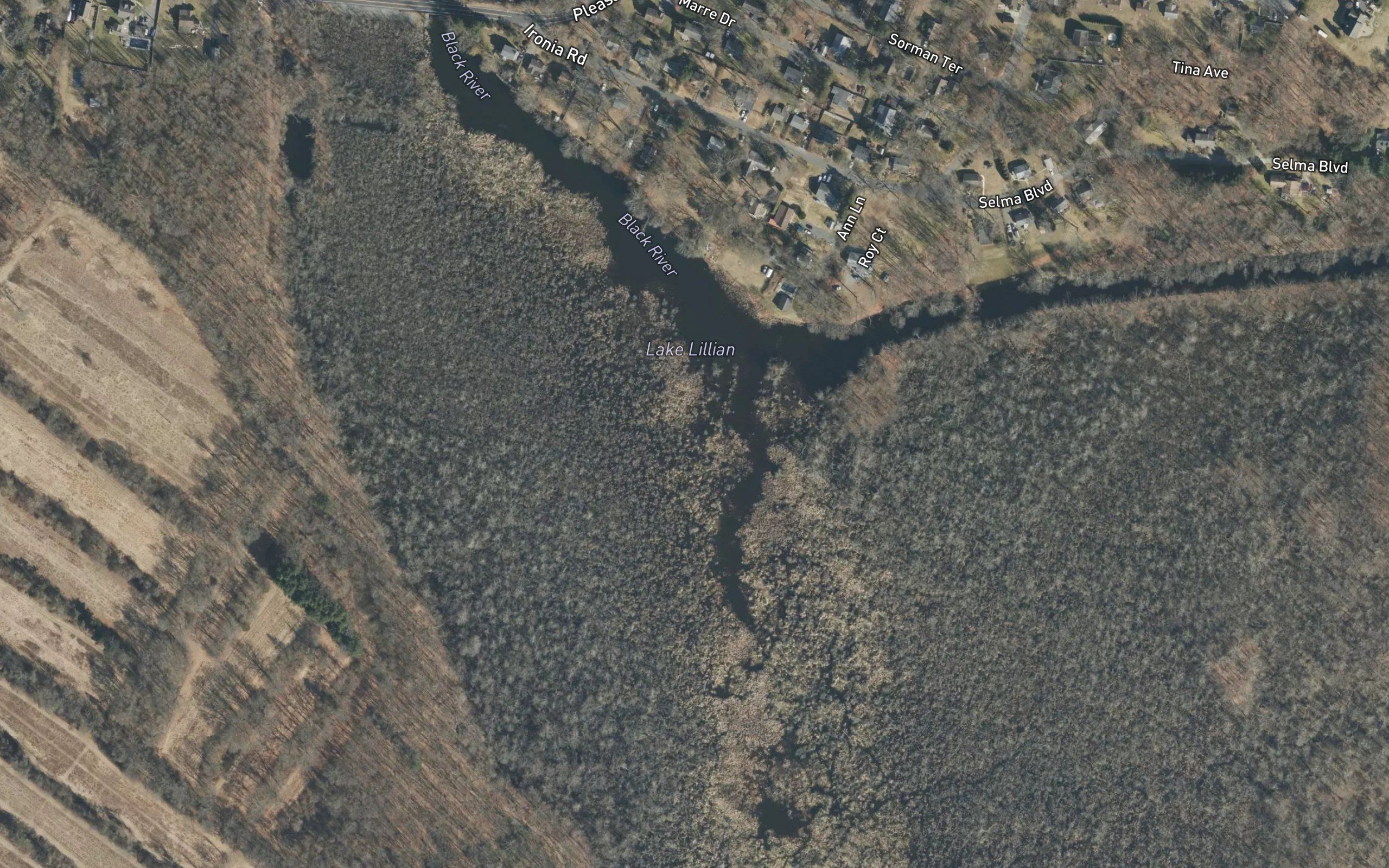 Lake Lillian